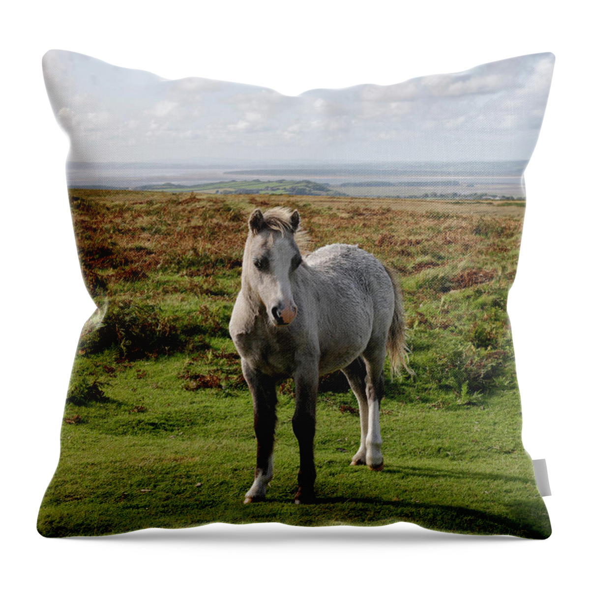 Wild Throw Pillow featuring the photograph Wild Horse Gower Peninsula by Kevin Round