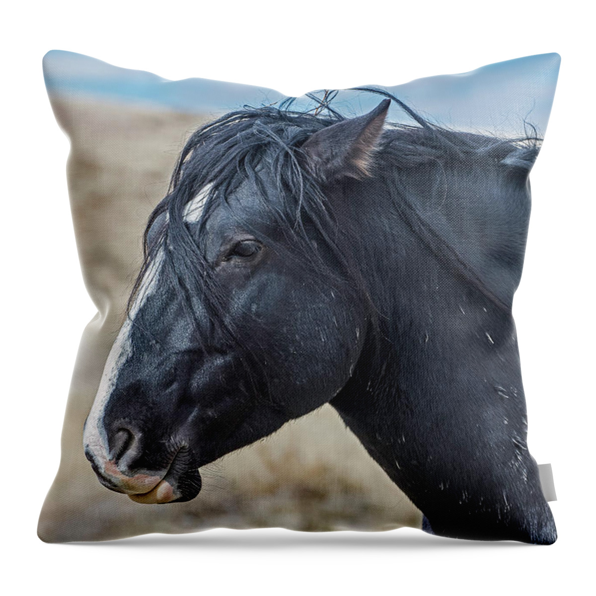 Horse Throw Pillow featuring the photograph Wild Horse Profile by Scott Read