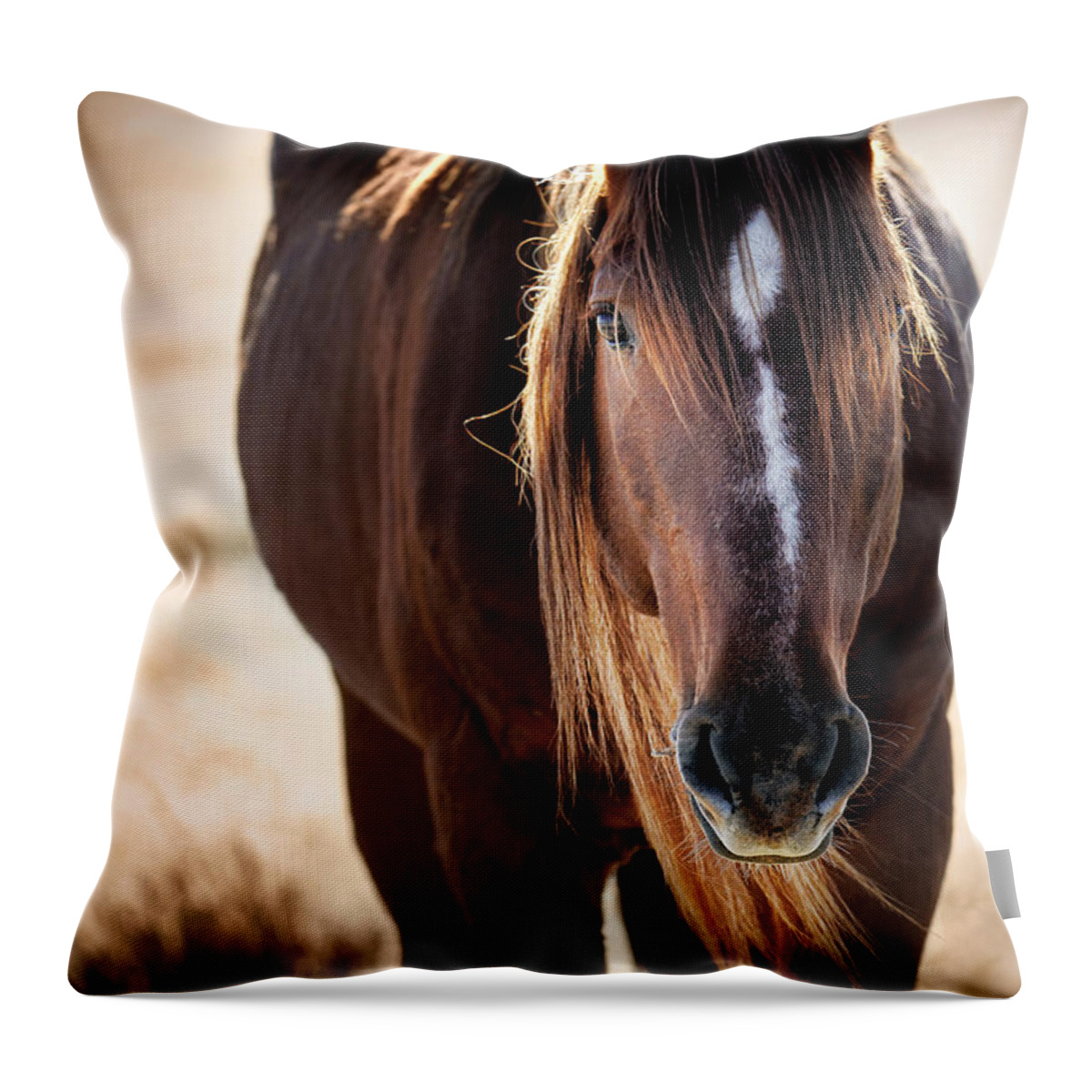 Horse Throw Pillow featuring the photograph Wild Horse Watching by Michael Ash