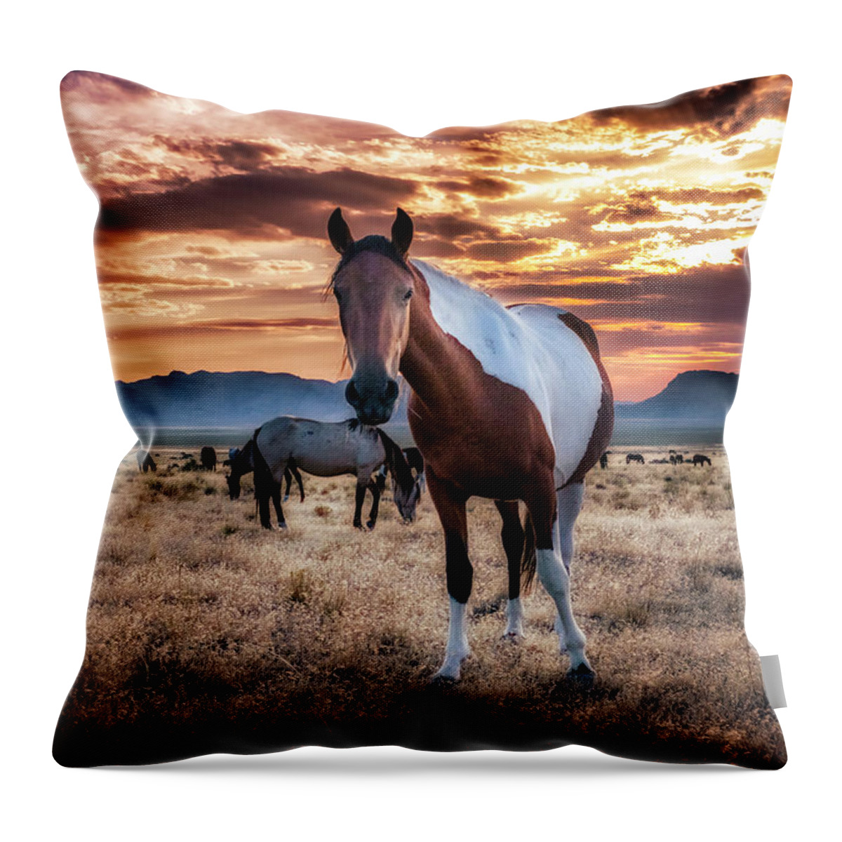 Sunset Throw Pillow featuring the photograph Wild Horses at Sunset by Michael Ash