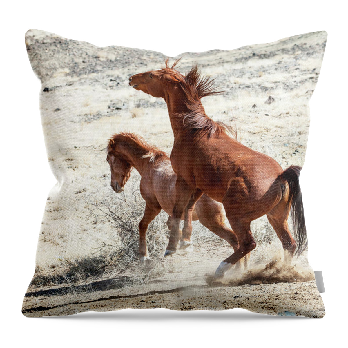 Wild Horses Throw Pillow featuring the photograph Wild Horses Couple #2 by Catherine Lau