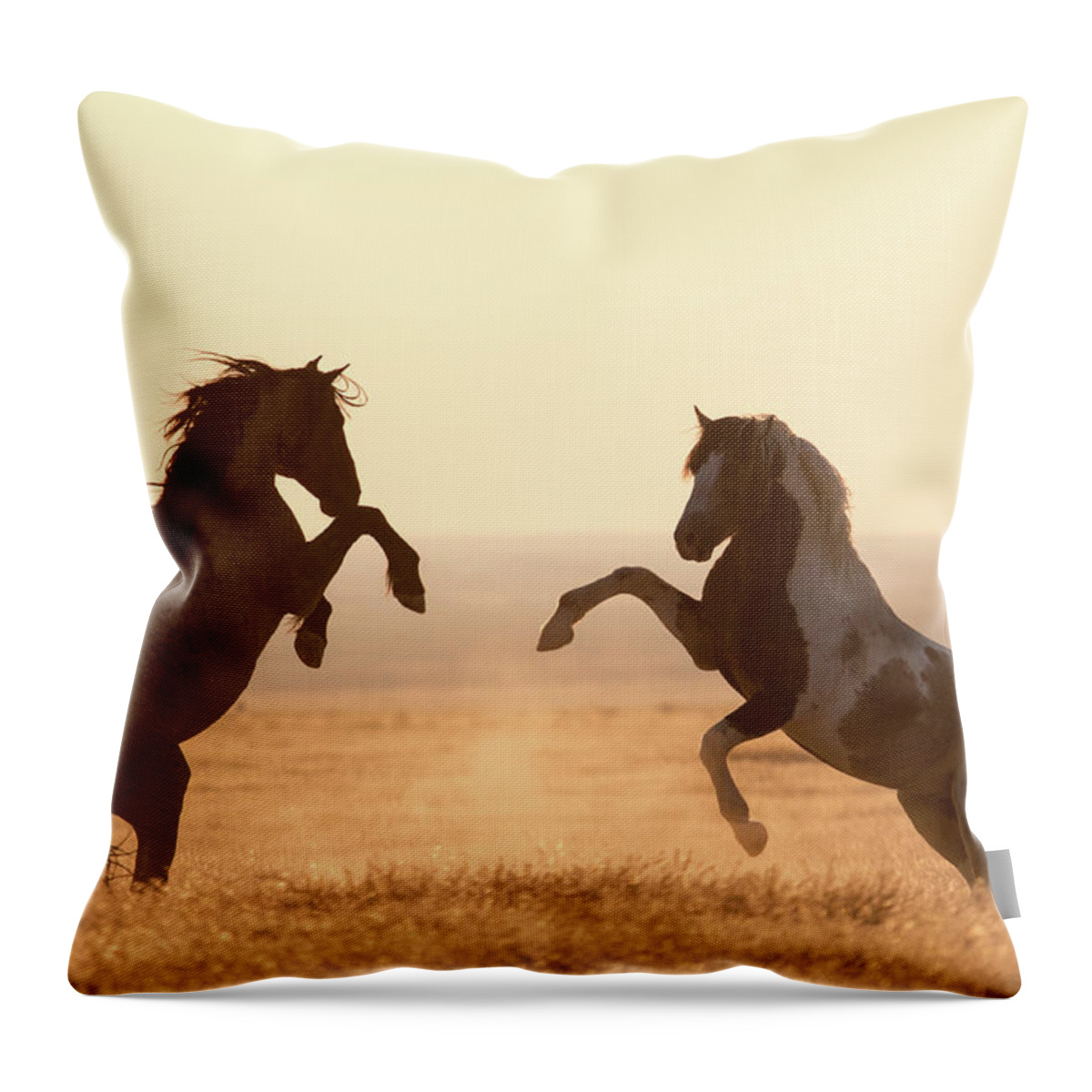 Wild Horses Throw Pillow featuring the photograph Wild Horses by Wesley Aston