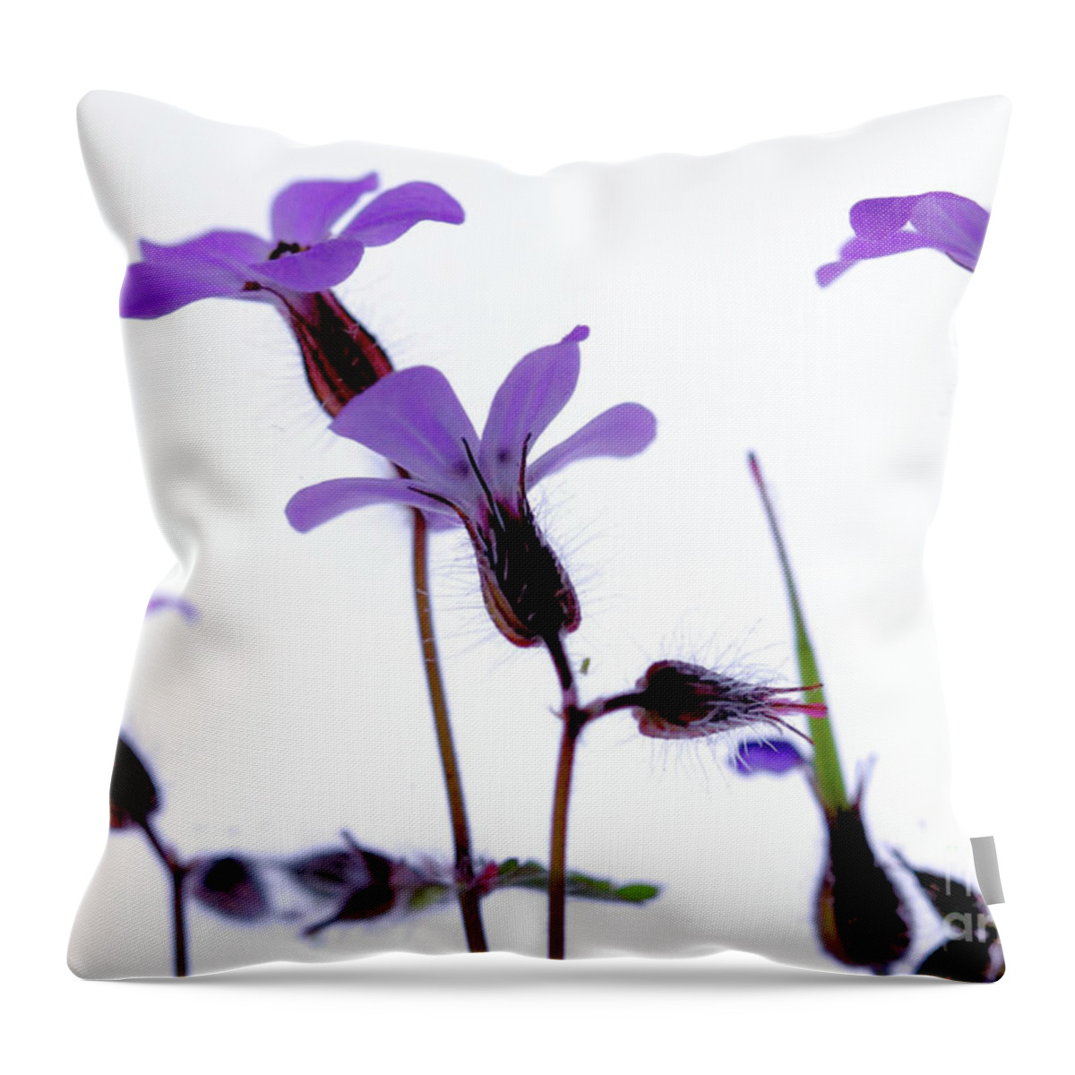 Macro Throw Pillow featuring the photograph Wild Knotted Cranesbill by Stephen Melia