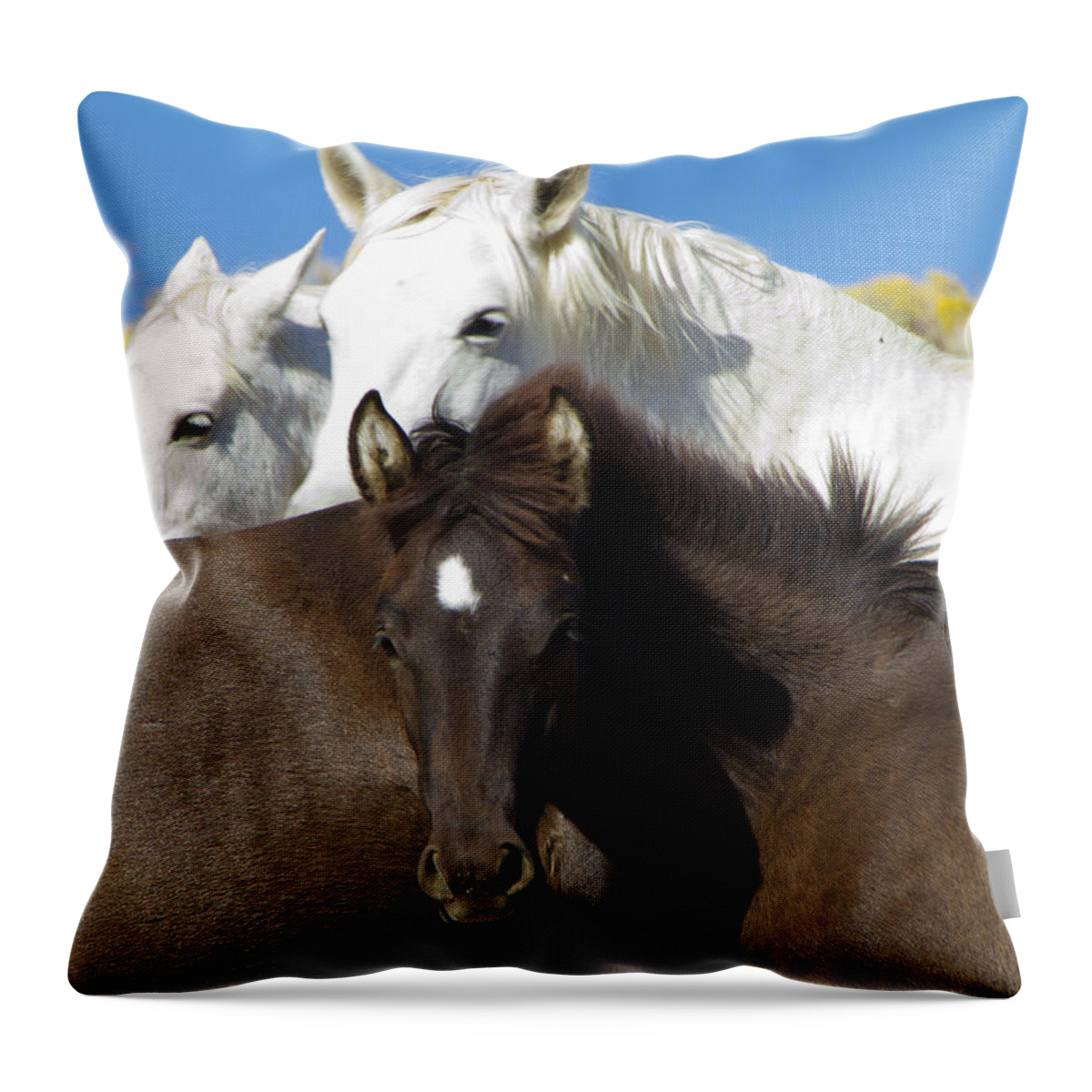Horses Throw Pillow featuring the photograph Wild Mustang Herd by Waterdancer 