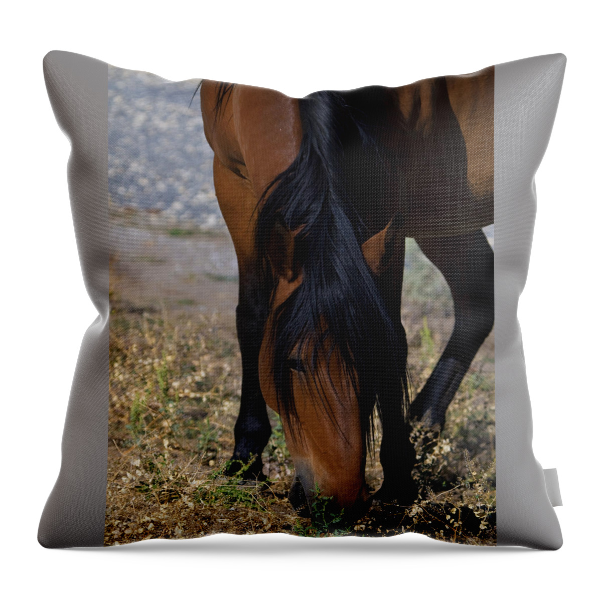 Horses Throw Pillow featuring the photograph Wild Mustang Mare Head Shot by Waterdancer 