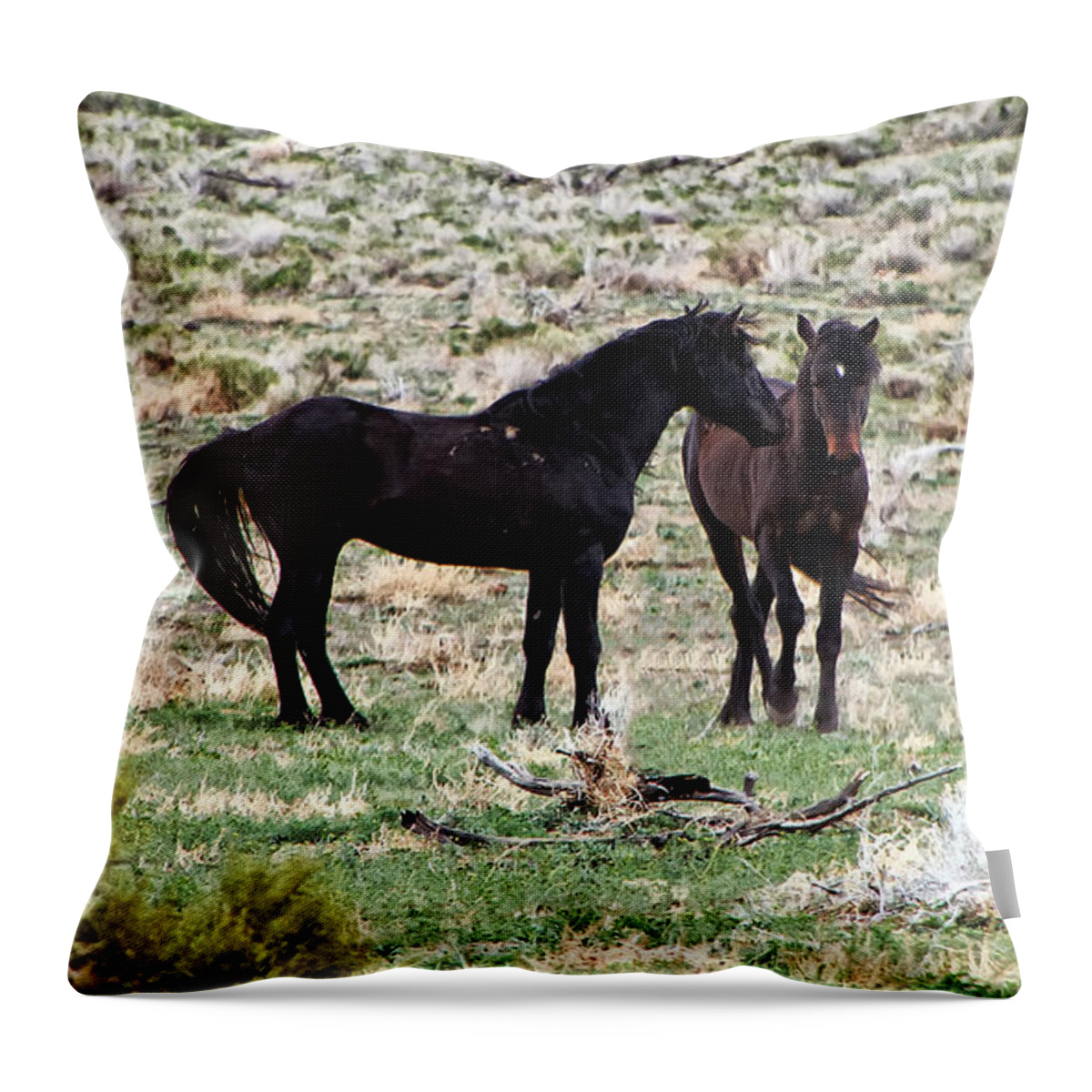 Horses Throw Pillow featuring the photograph Wild Mustang Stallions by Waterdancer