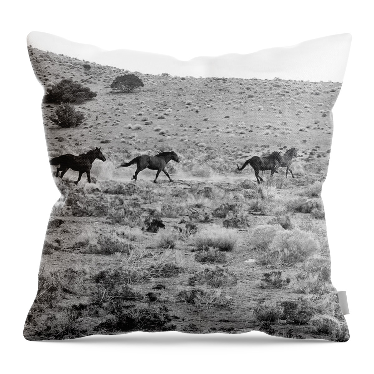 Horses Throw Pillow featuring the photograph Wild Mustang Stallions Running by Waterdancer 