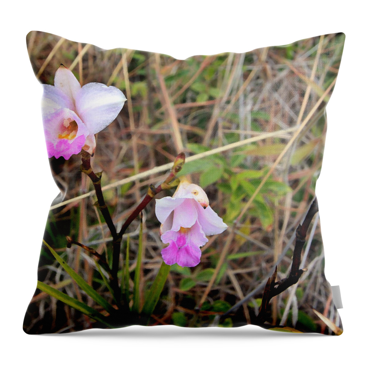 Orchid Throw Pillow featuring the photograph Wild Orchid by Mary Haber