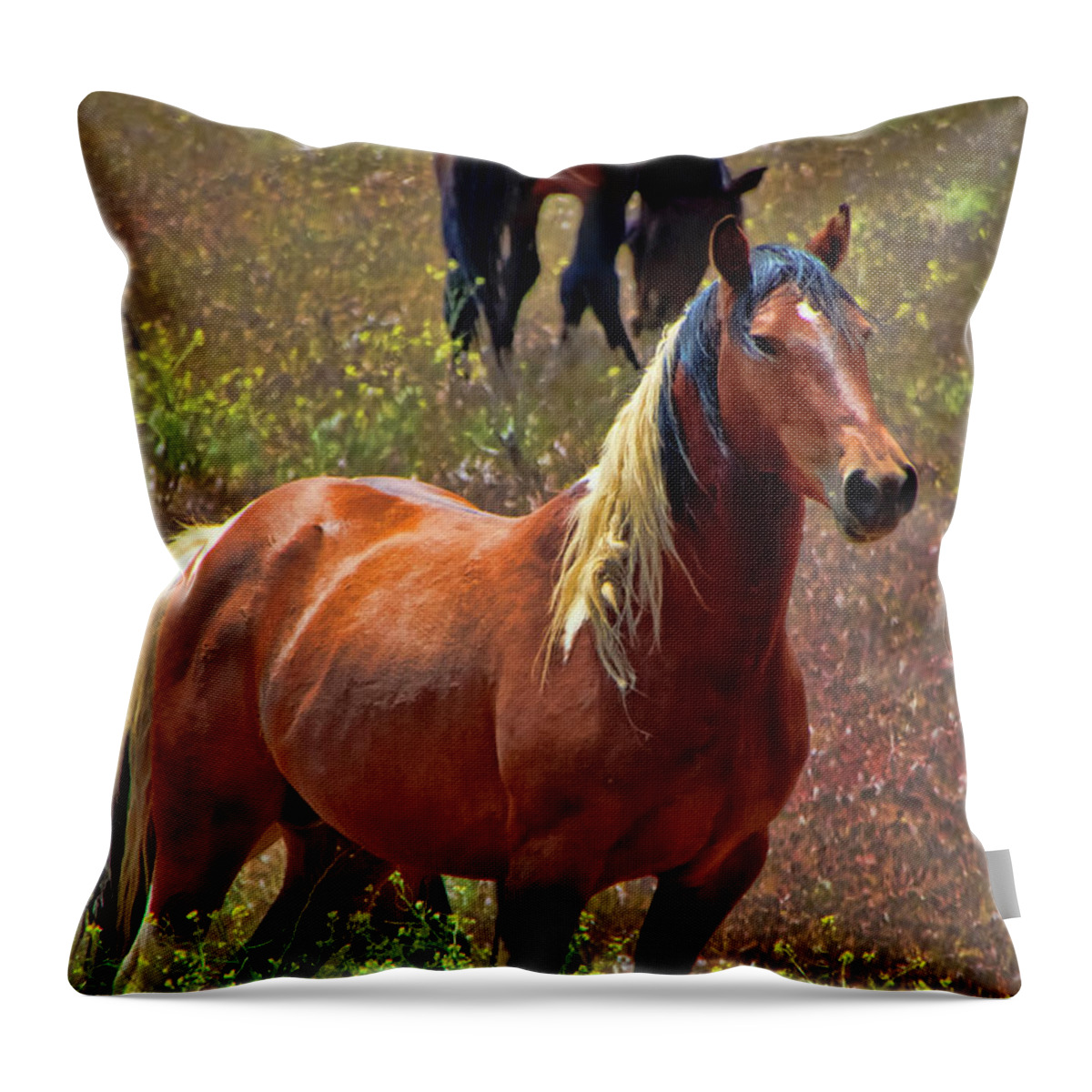 Horses Throw Pillow featuring the photograph Wild Paint Stallion by Waterdancer
