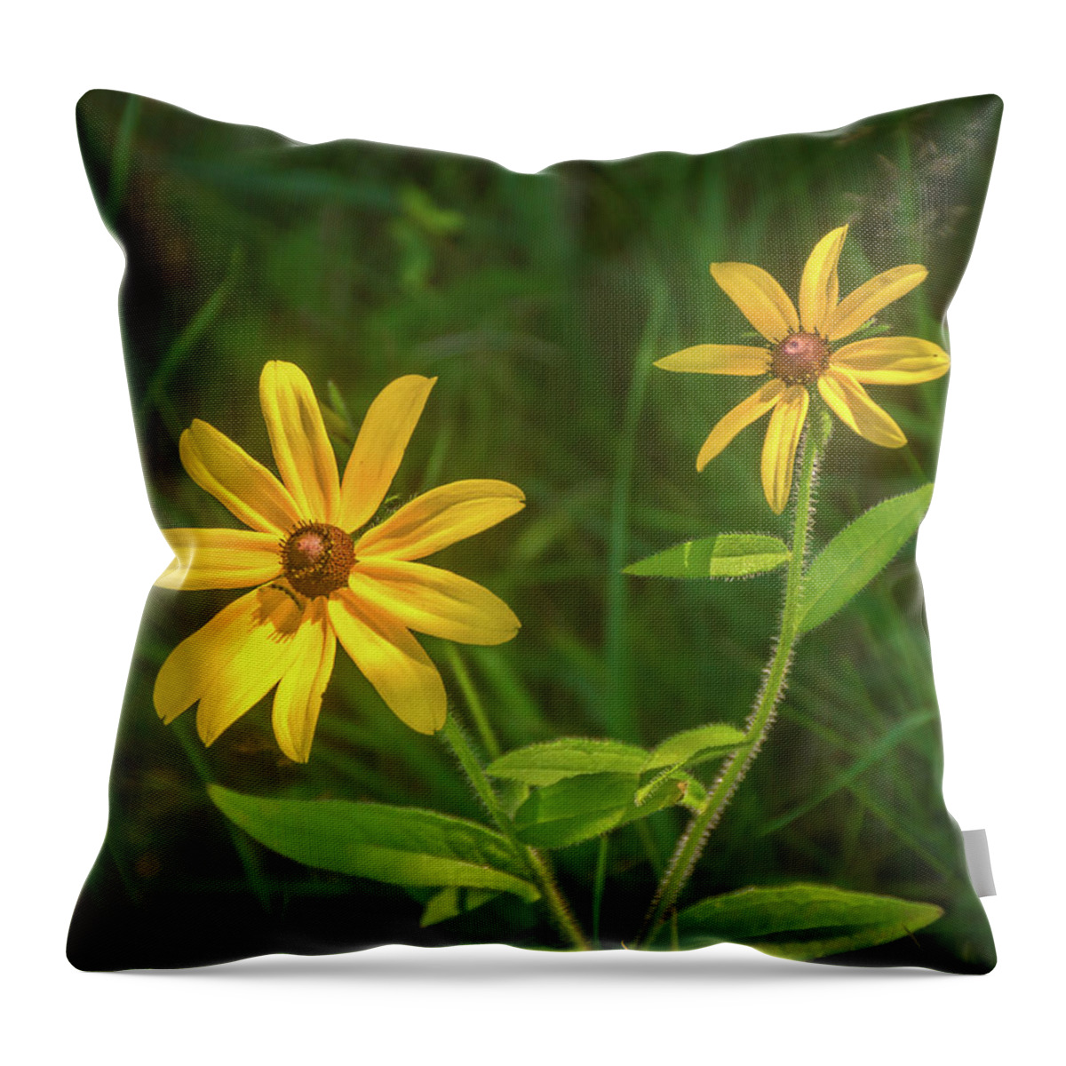 Wildflower Throw Pillow featuring the photograph Wild Pair by Bill Pevlor