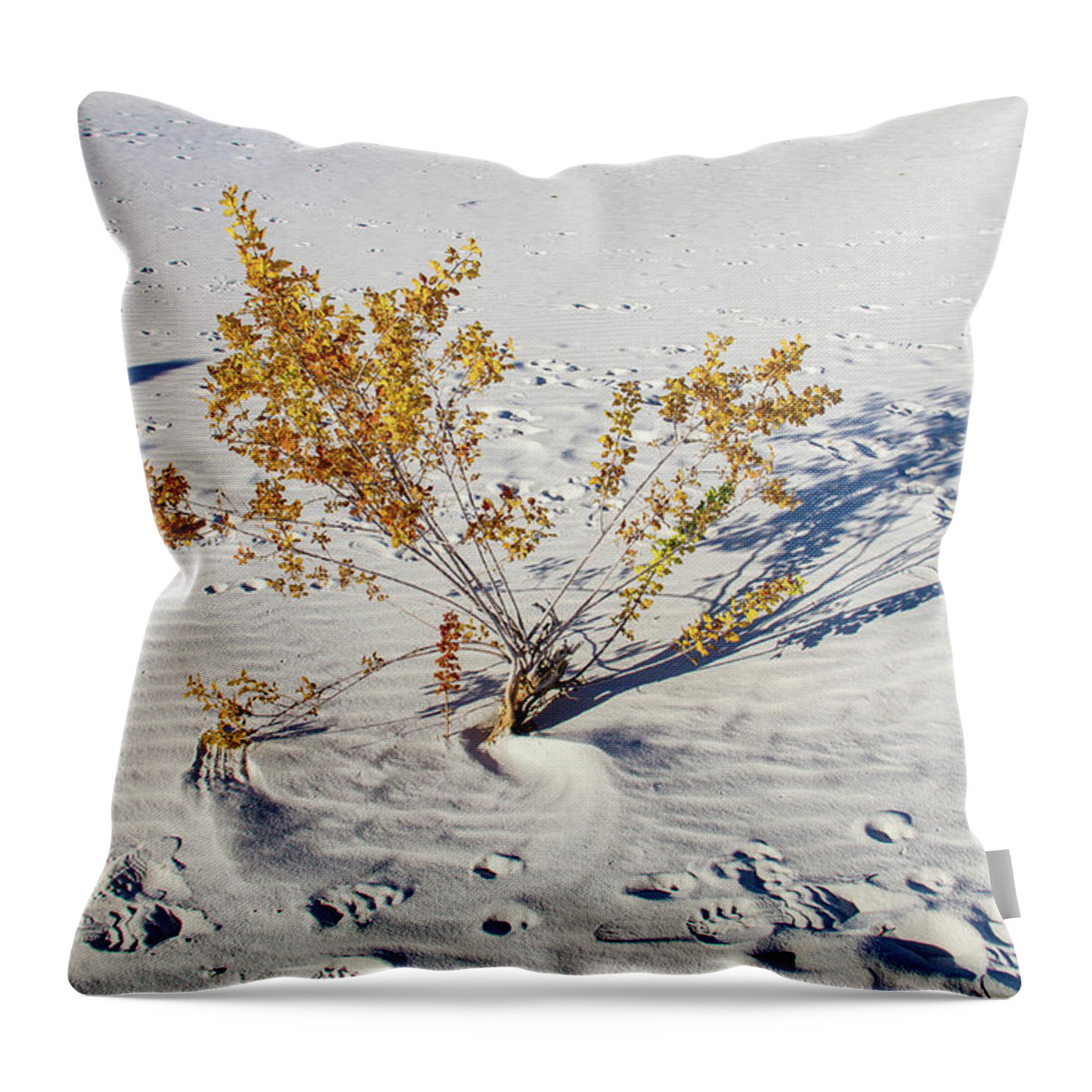 Monument Throw Pillow featuring the photograph Wild Plant in White Sands by Roslyn Wilkins