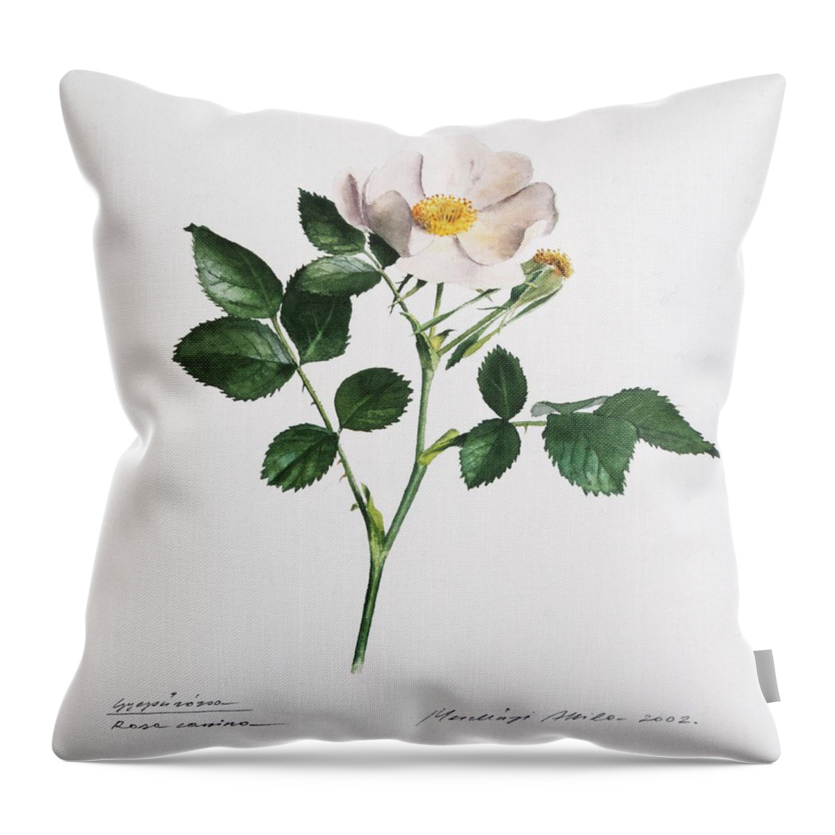 Dog Rose Throw Pillow featuring the painting Wild Rose by Attila Meszlenyi
