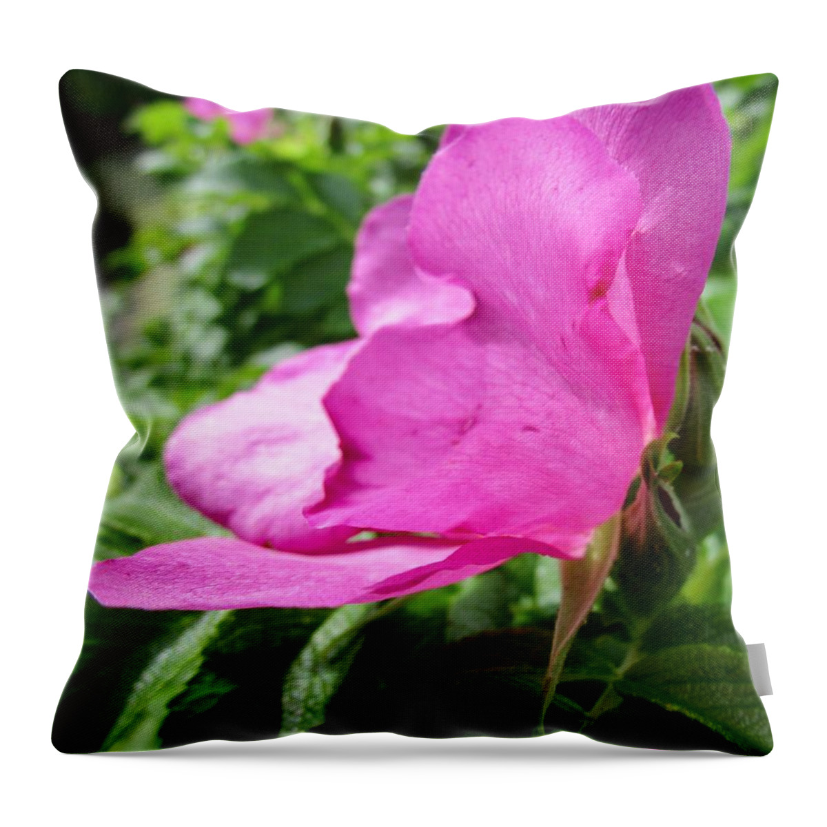 Rosehip Throw Pillow featuring the photograph Wild rose by Rosita Larsson