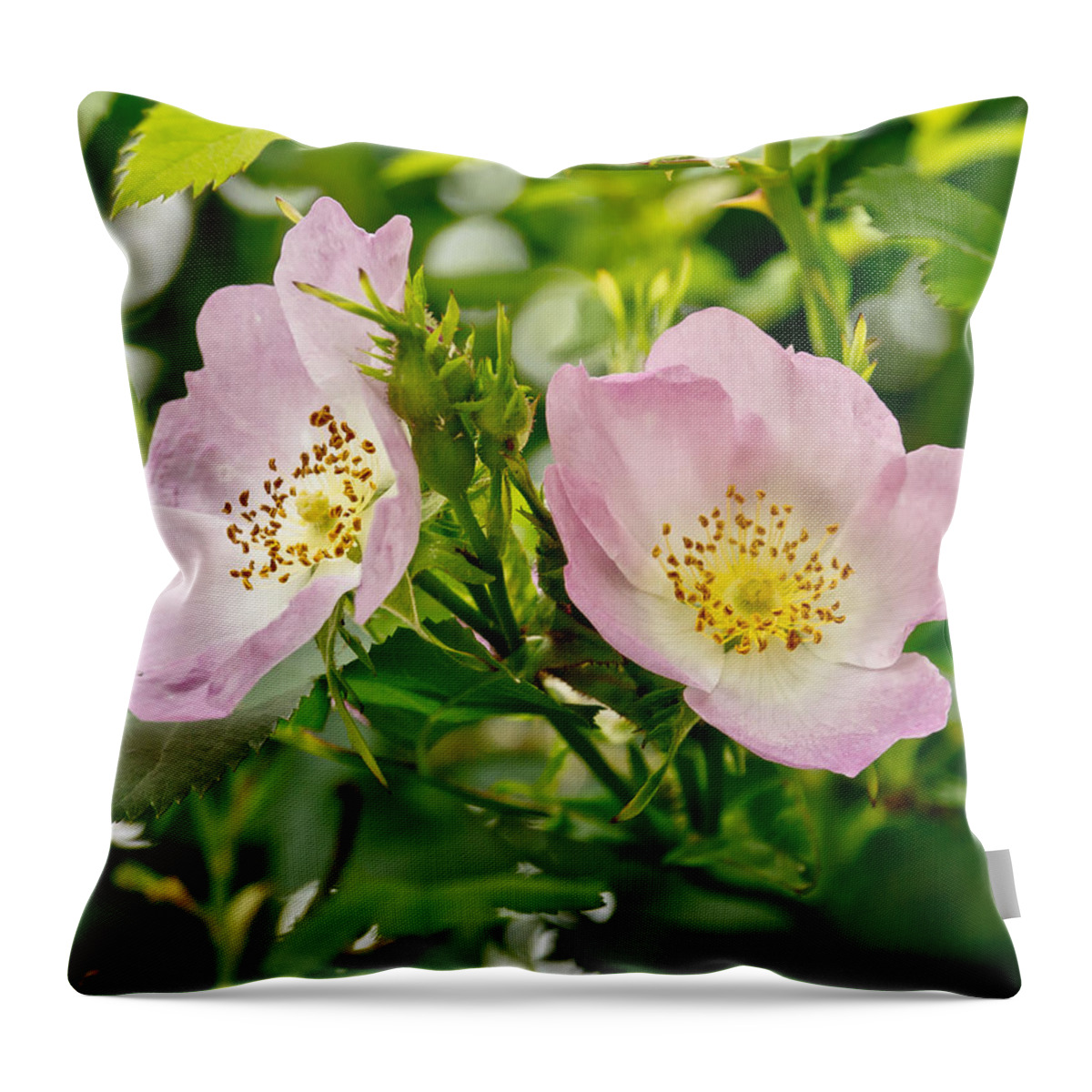 Wild Roses Throw Pillow featuring the photograph Wild Roses. Duo. by Elena Perelman