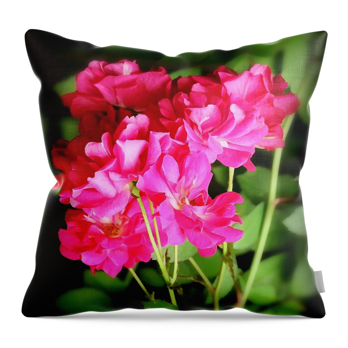 Wild Roses Throw Pillow featuring the photograph Wild Roses by Jean Connor