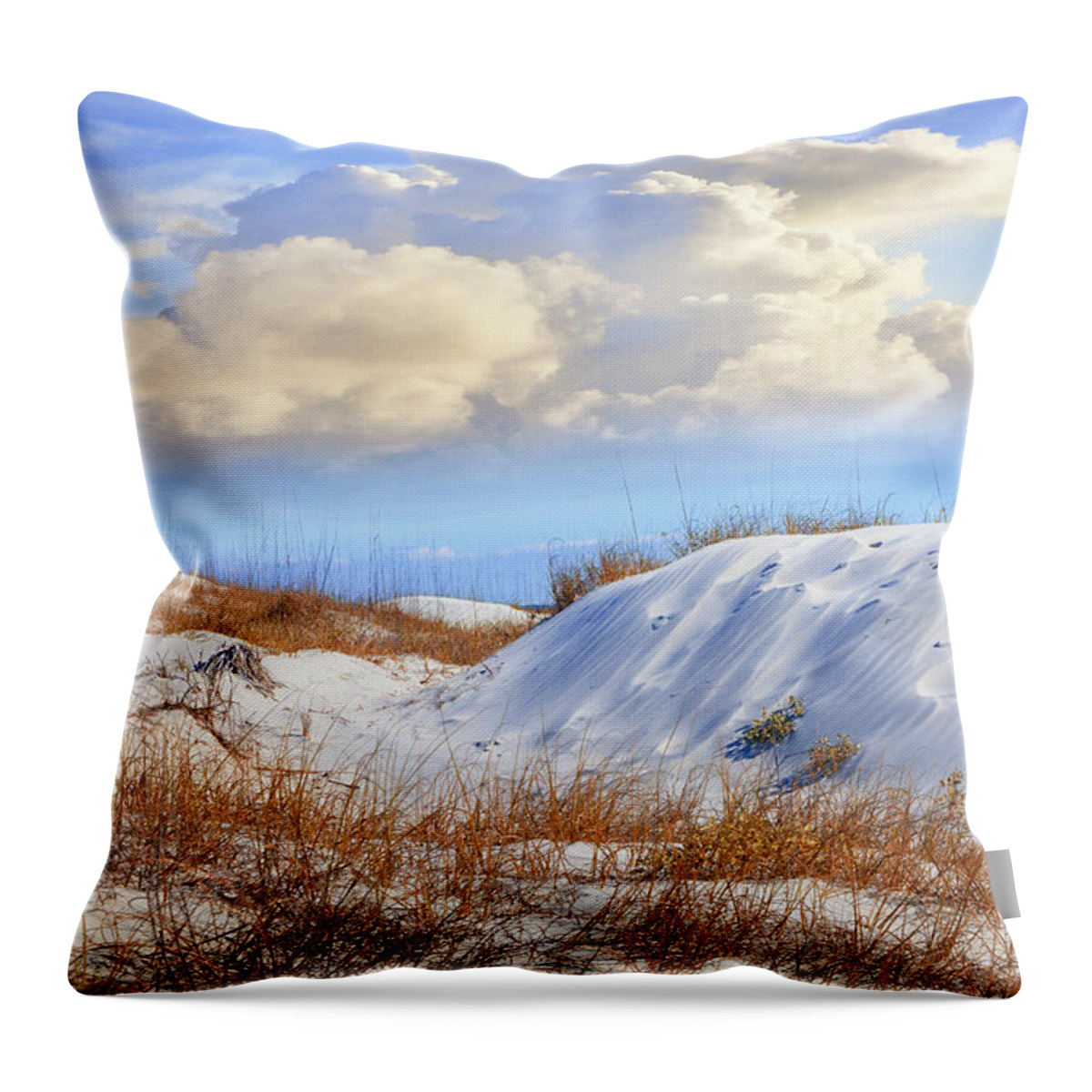 Clouds Throw Pillow featuring the photograph Wild Sand Dunes by Debra and Dave Vanderlaan
