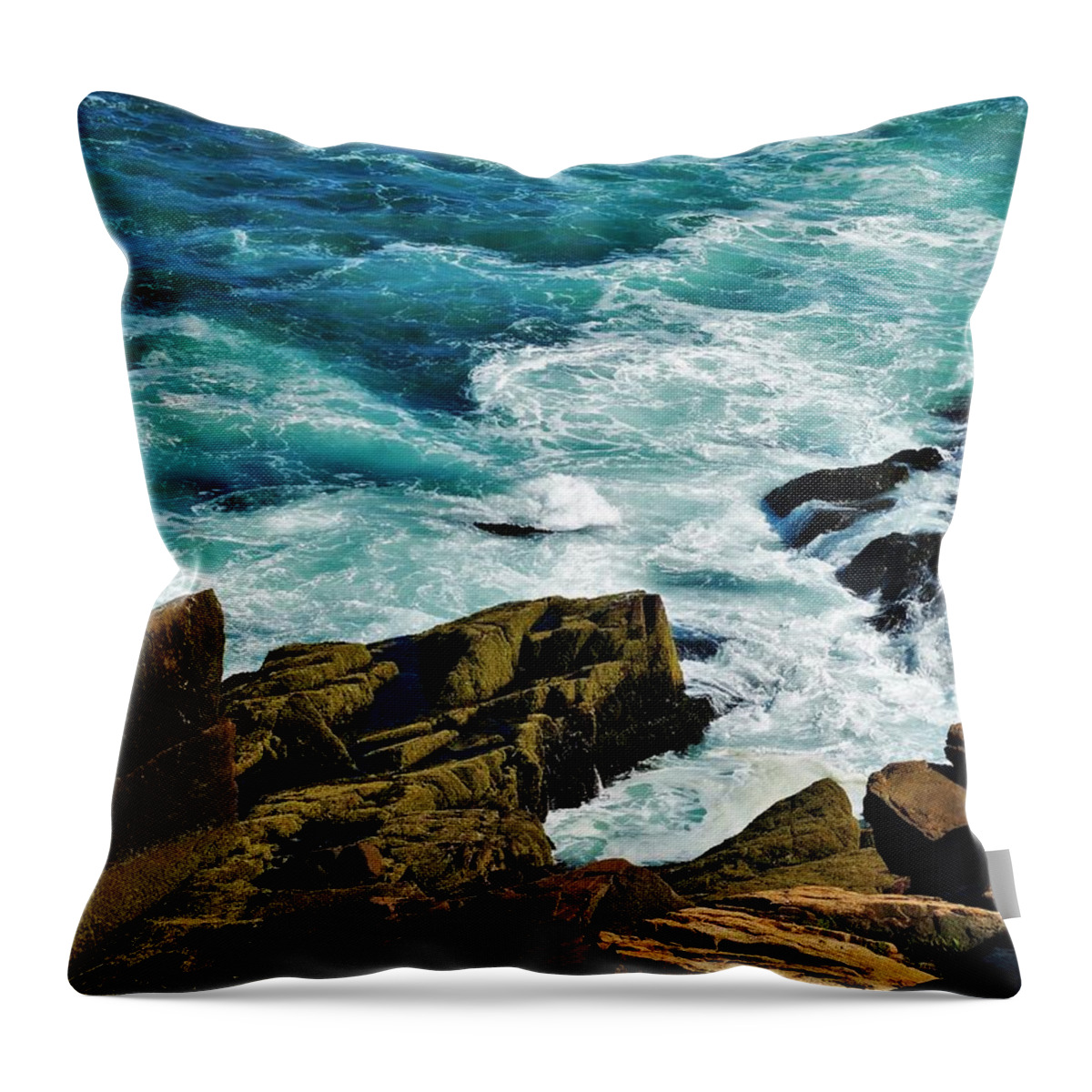 Rockport Throw Pillow featuring the photograph Wild Shore by Lisa Dunn