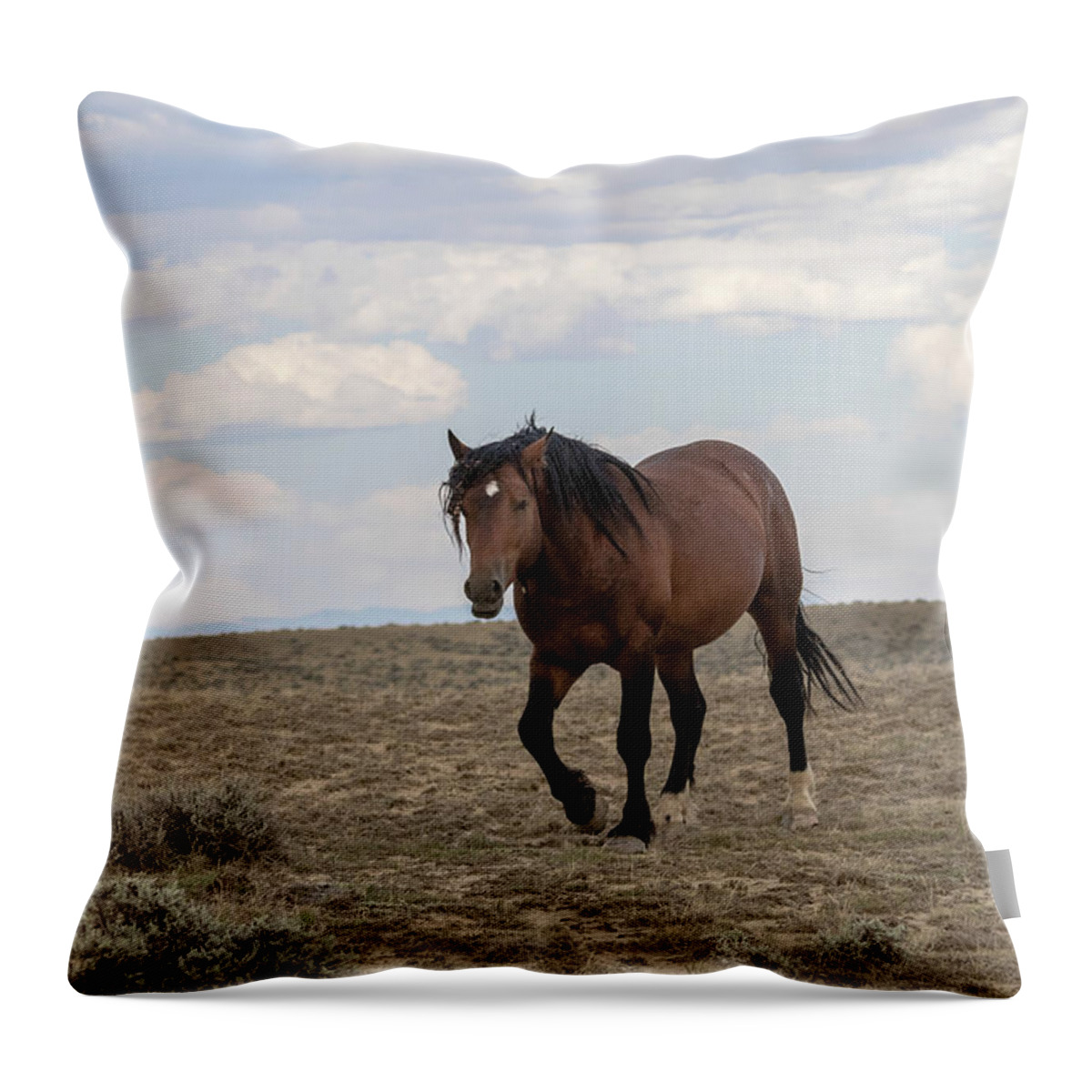 Stallion Throw Pillow featuring the photograph Wild Stallion by Ronnie And Frances Howard