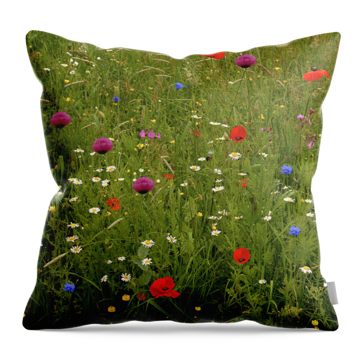 Summer Throw Pillow featuring the photograph Wild Summer Meadow by Stephen Melia