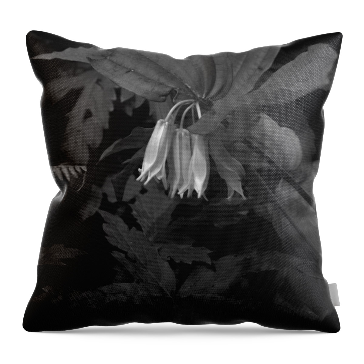 Flower Throw Pillow featuring the photograph Touch of the Wild Forest BW by Charles Lucas