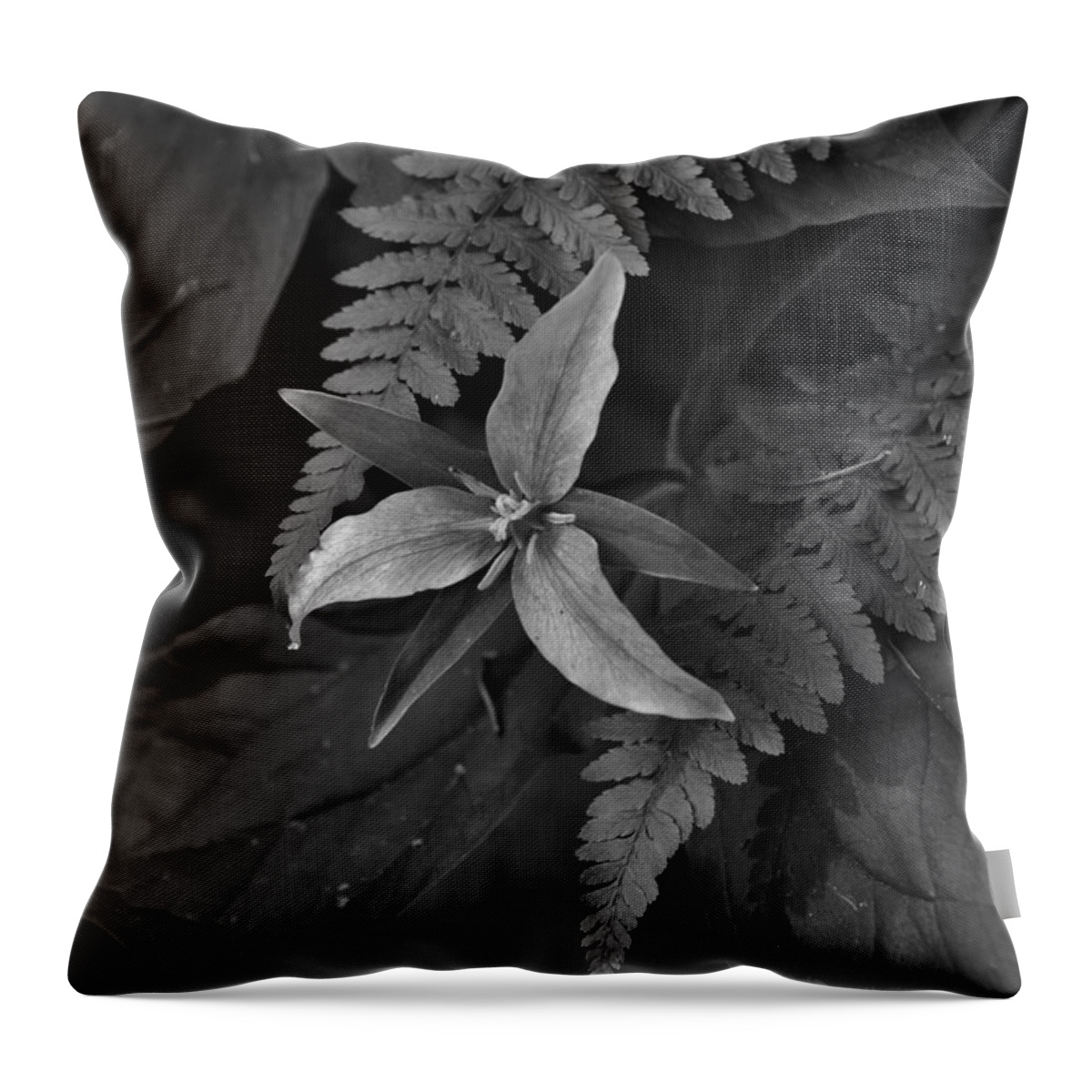 Nature Throw Pillow featuring the photograph Wild Trillium of the Forest Two by Charles Lucas