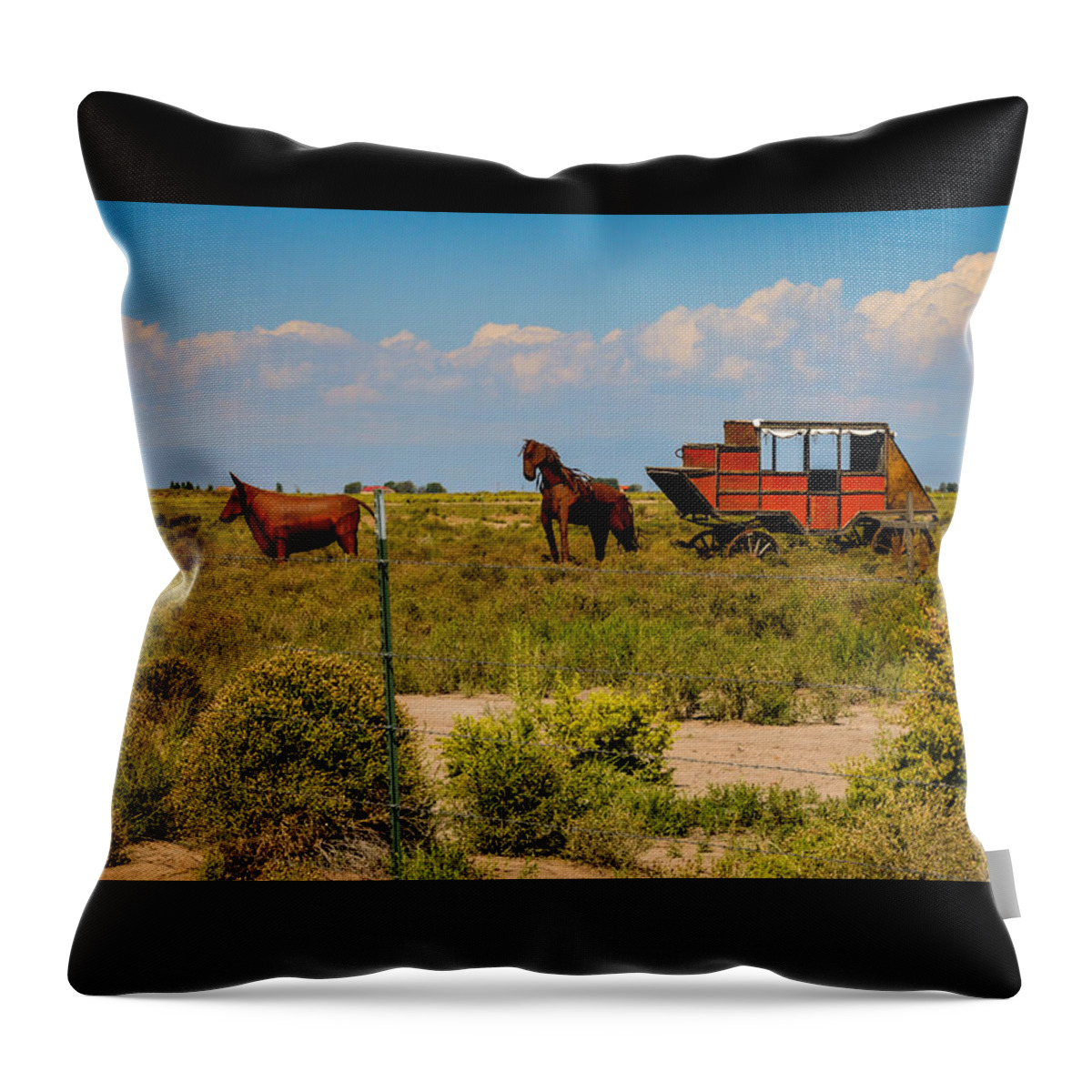 Wild West Throw Pillow featuring the photograph Wild West Ranch Art by Debra Martz