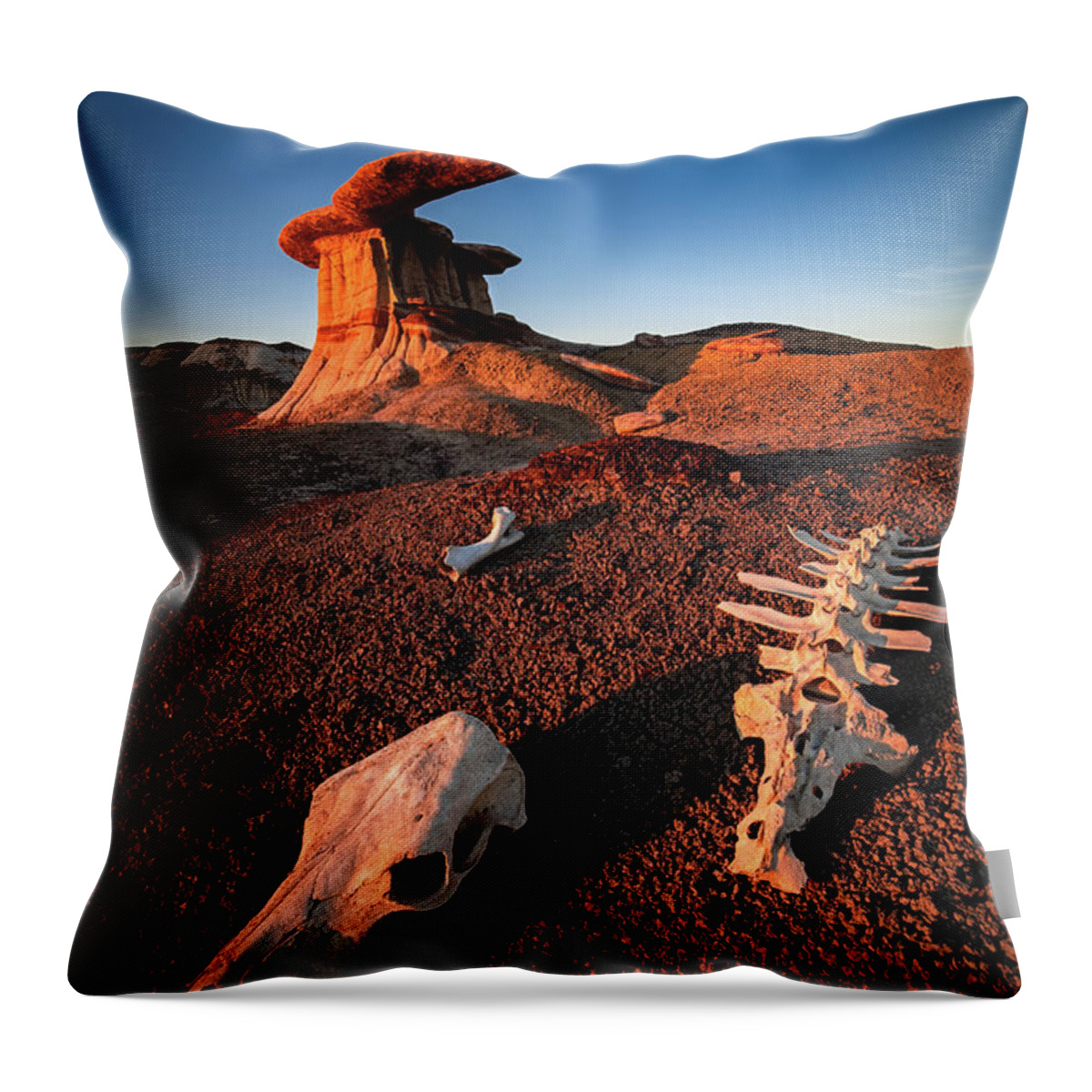 Amaizing Throw Pillow featuring the photograph Wild Wild West by Edgars Erglis