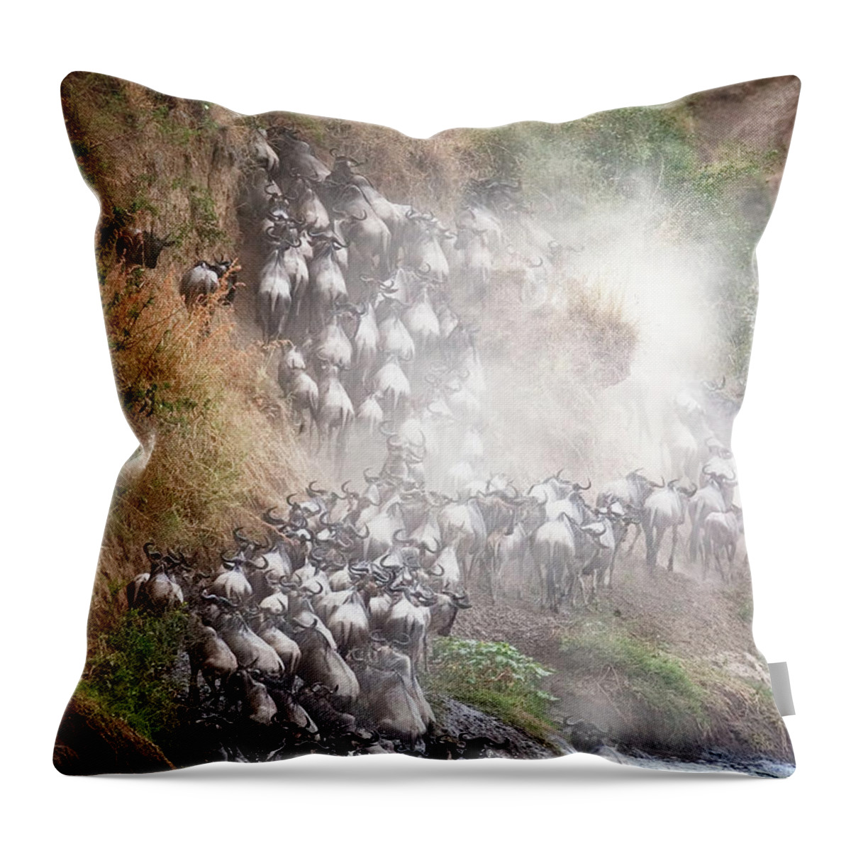 Migration Throw Pillow featuring the photograph Wildebeest Climbing Up Mara River Bank by Good Focused