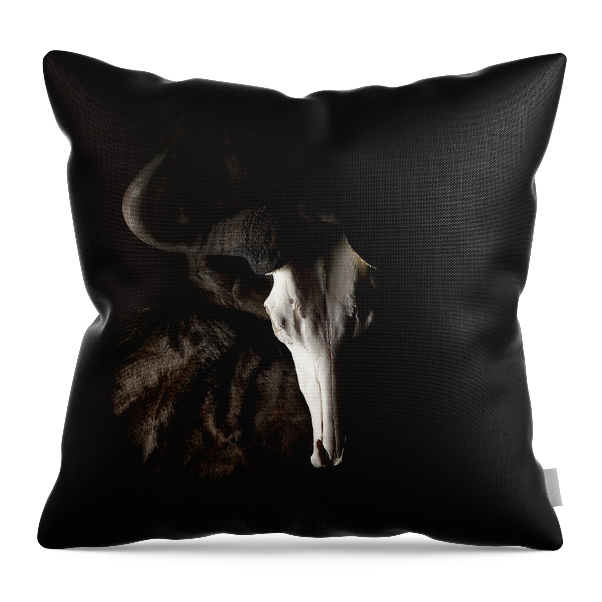 Wildebeest Throw Pillow featuring the photograph Wildebeest Light and Shadow by David Andersen