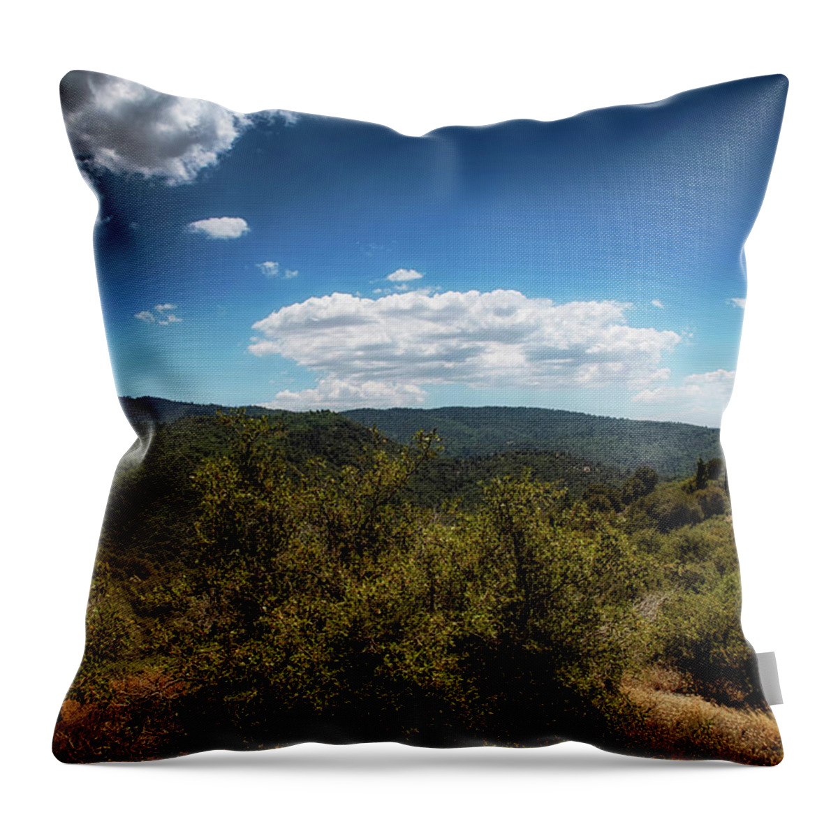 Landscape Throw Pillow featuring the photograph Wilderness San Jacinto by Joseph Hollingsworth