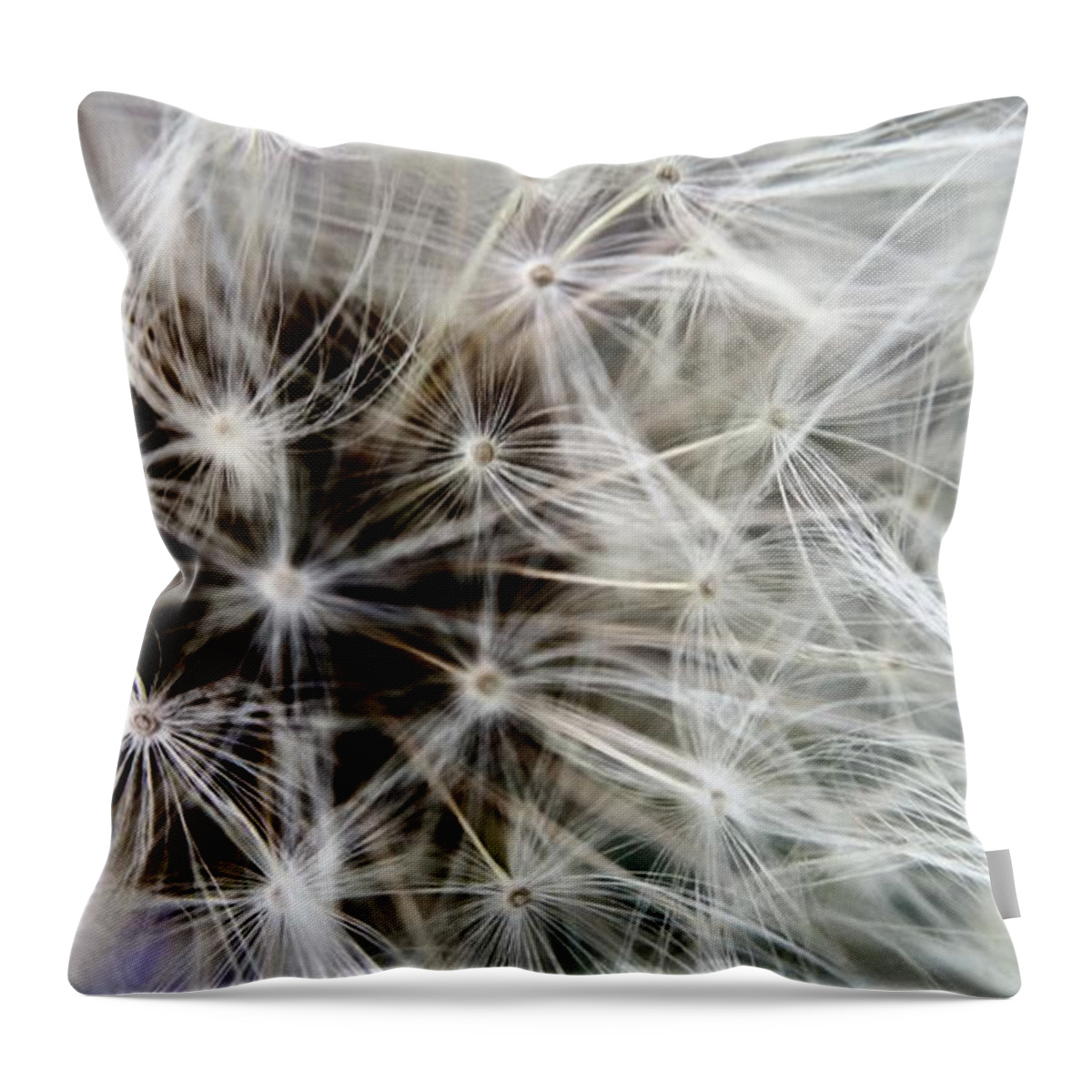 Wildflower Throw Pillow featuring the photograph Wildflower 1 by Belinda Cox