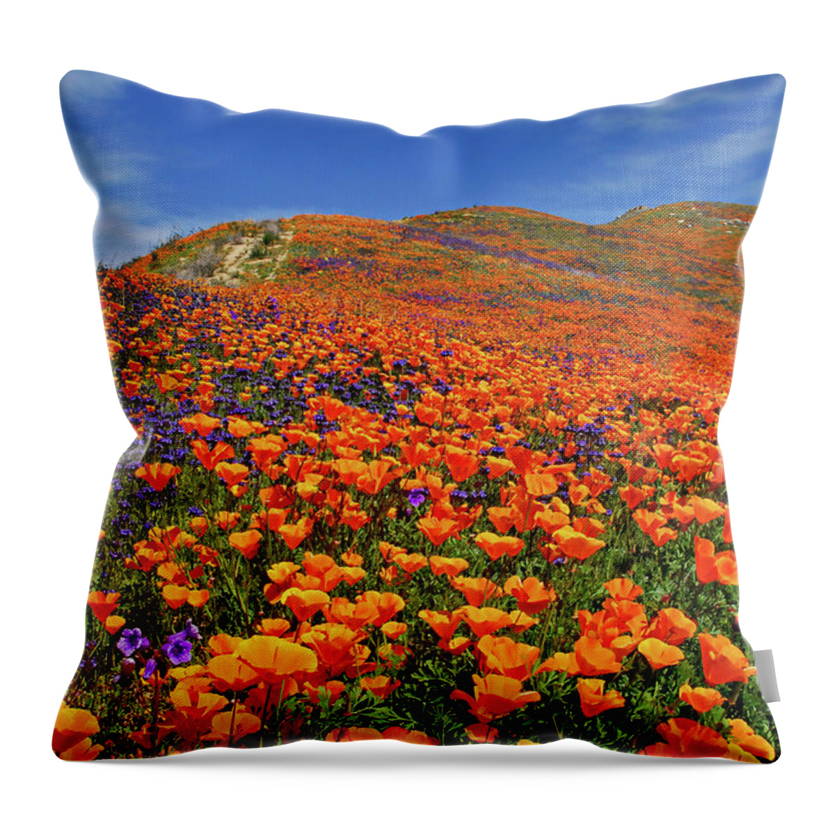 Wildflowers Throw Pillow featuring the photograph Wildflower Jackpot by Lynn Bauer