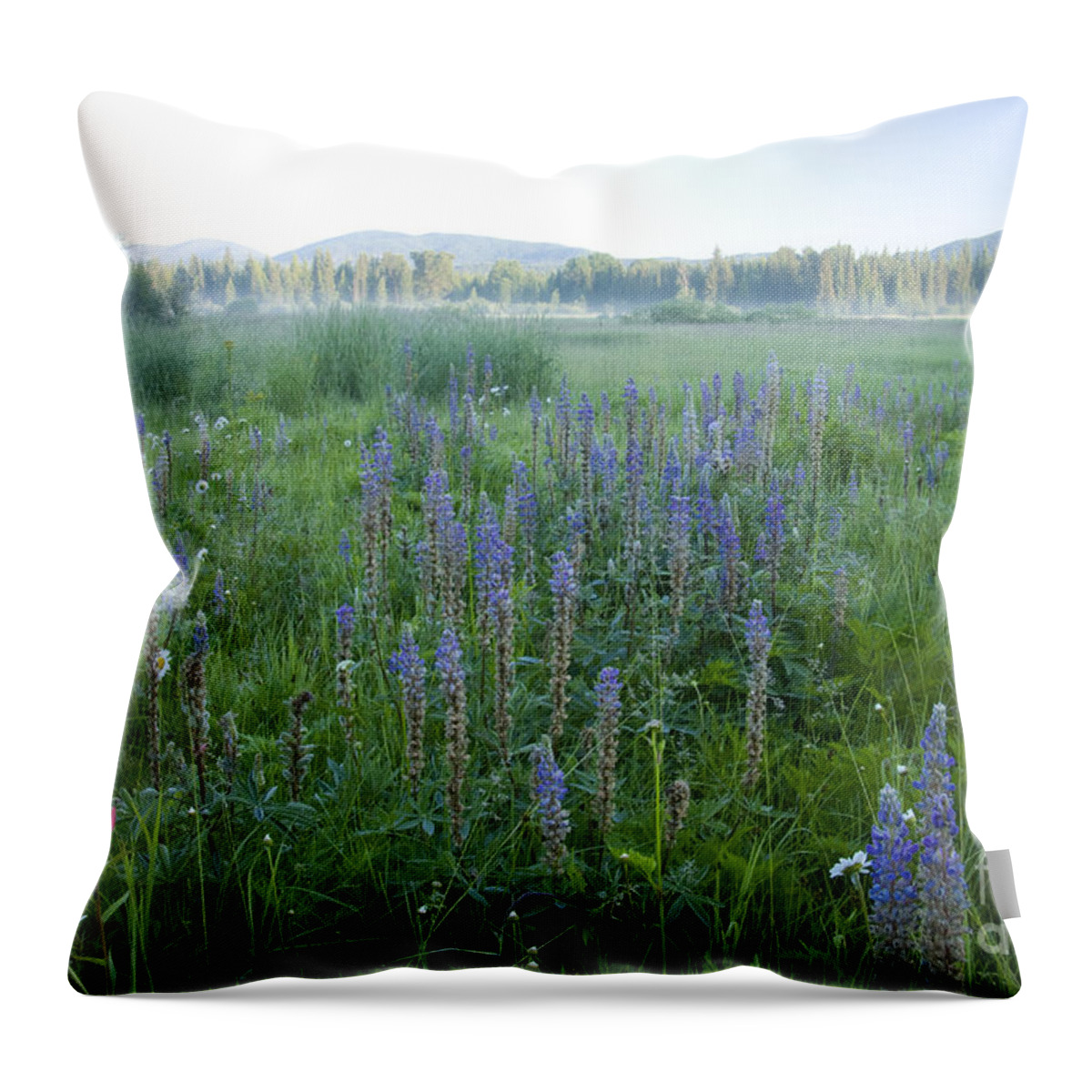 Wildflowers Throw Pillow featuring the photograph Wildflower Meadow by Idaho Scenic Images Linda Lantzy