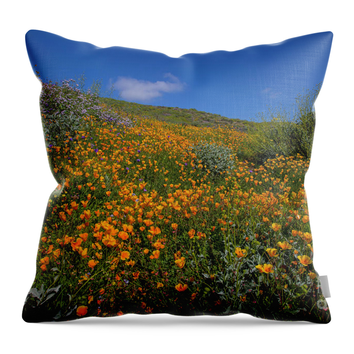Photography Throw Pillow featuring the photograph Wildflower Superbloom 11 by Daniel Knighton