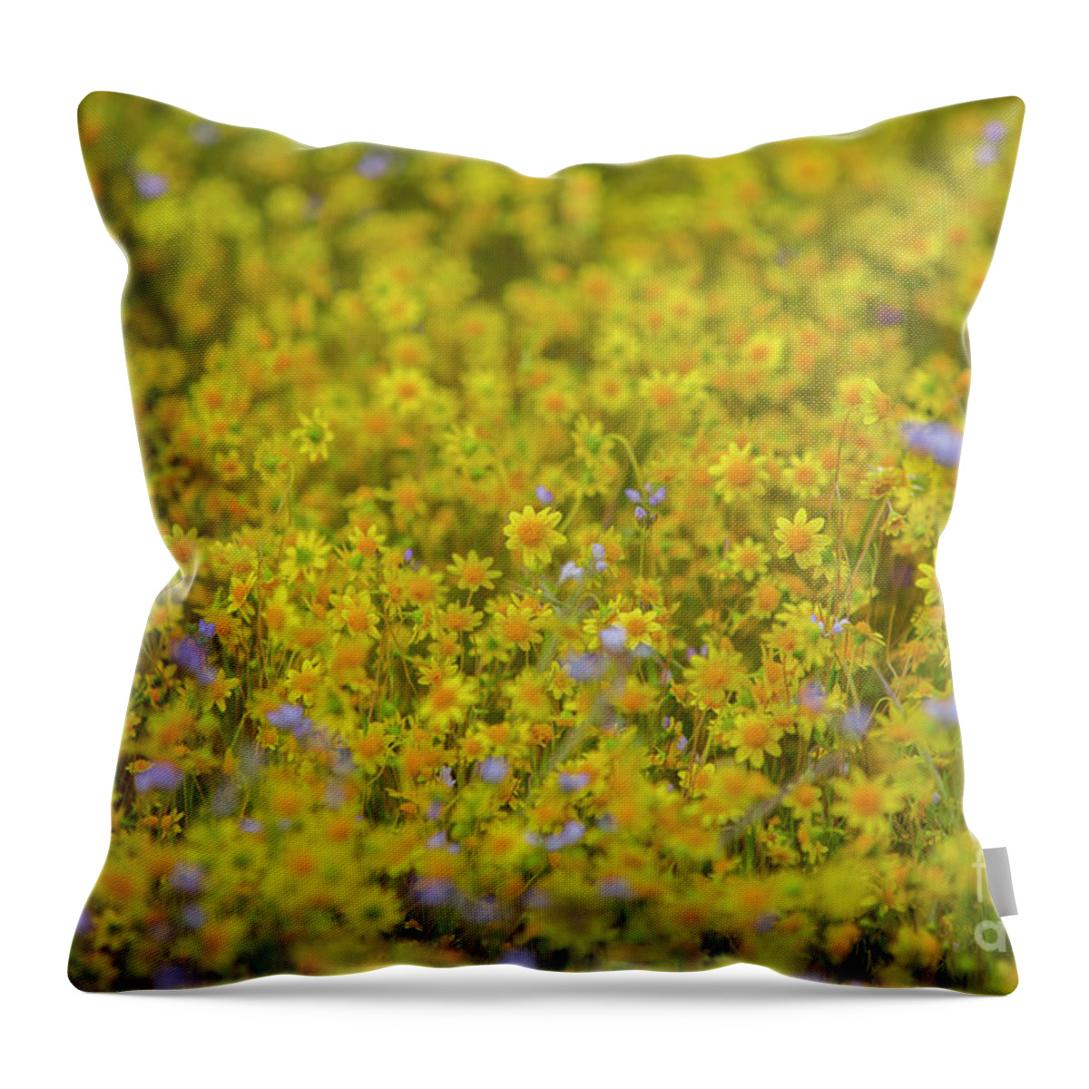 Photography Throw Pillow featuring the photograph Wildflower Superbloom 4 by Daniel Knighton