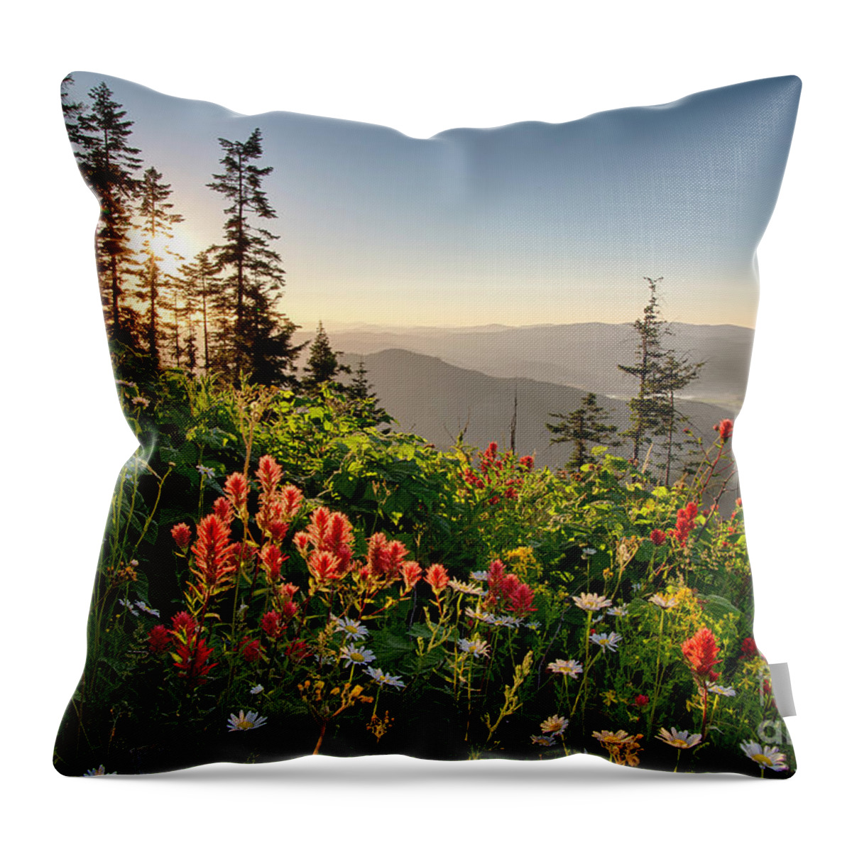 Idaho Throw Pillow featuring the photograph Wildflower View by Idaho Scenic Images Linda Lantzy