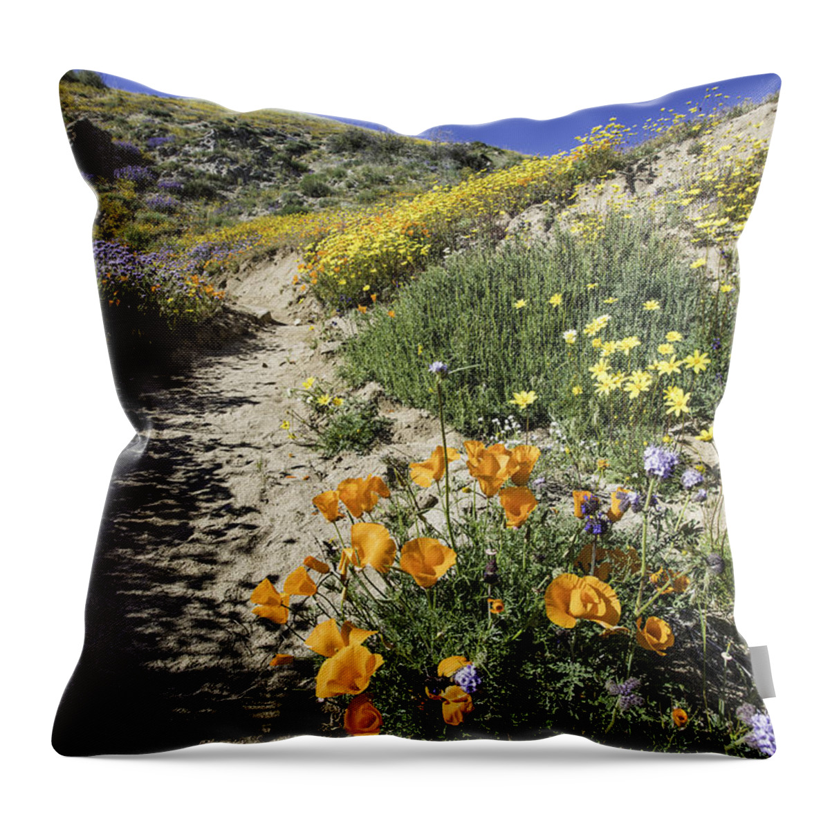Landscape Throw Pillow featuring the photograph Wildflower Wash by Scott Cunningham