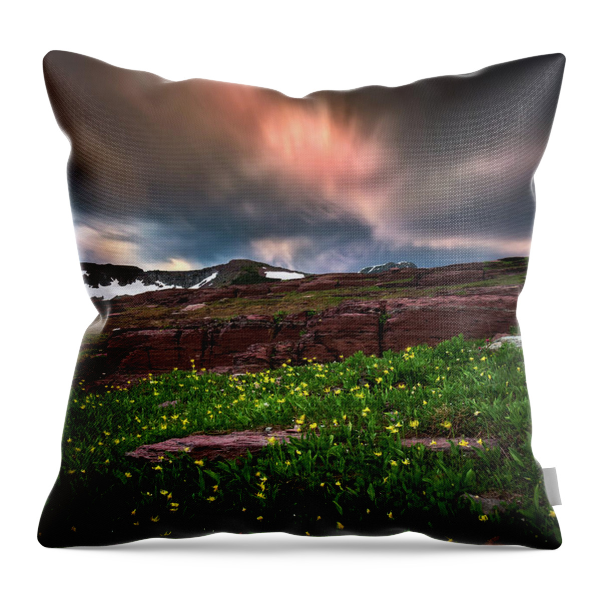 Clouds Throw Pillow featuring the photograph Wildflowers and motion clouds at Glacier National Park by William Lee