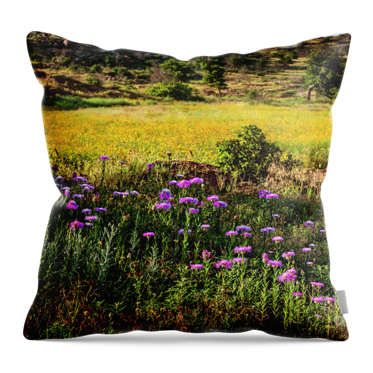 Nature Throw Pillow featuring the photograph Wildflowers of the Wichita Mountains by Tamyra Ayles