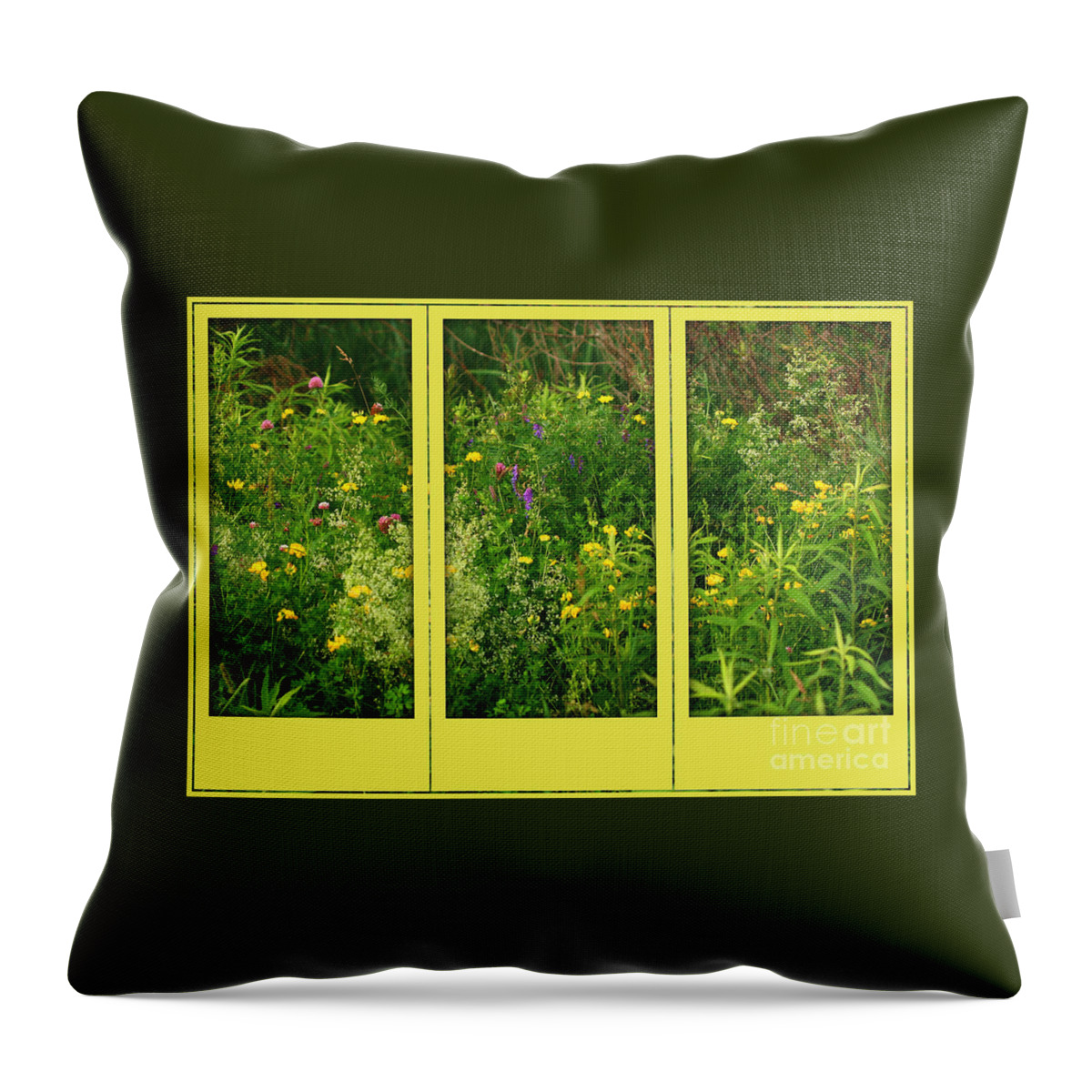 Flower Throw Pillow featuring the photograph Wildflowers Through A Window by Smilin Eyes Treasures