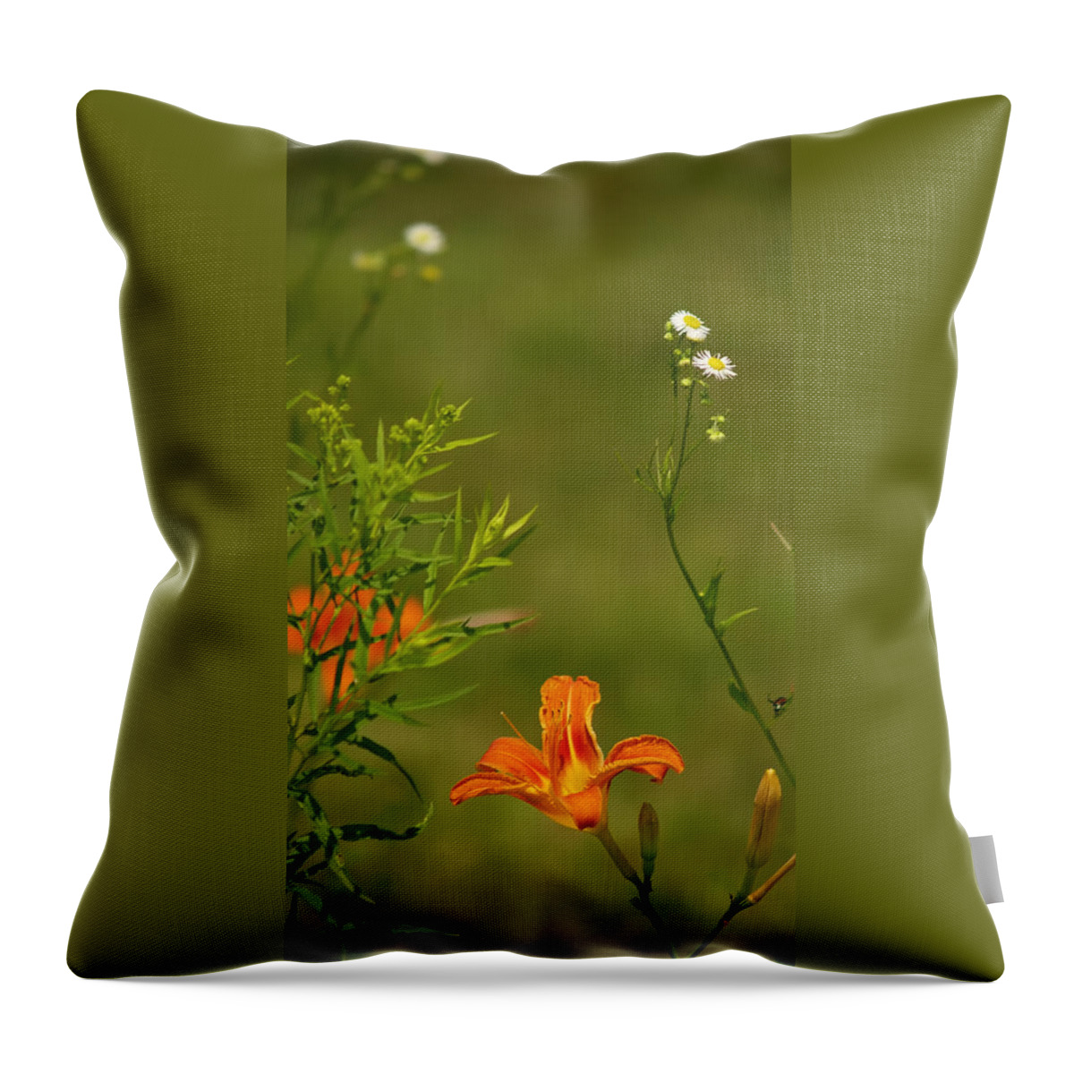Flowers Throw Pillow featuring the photograph Wildlfowers In Summertime by Dorothy Lee