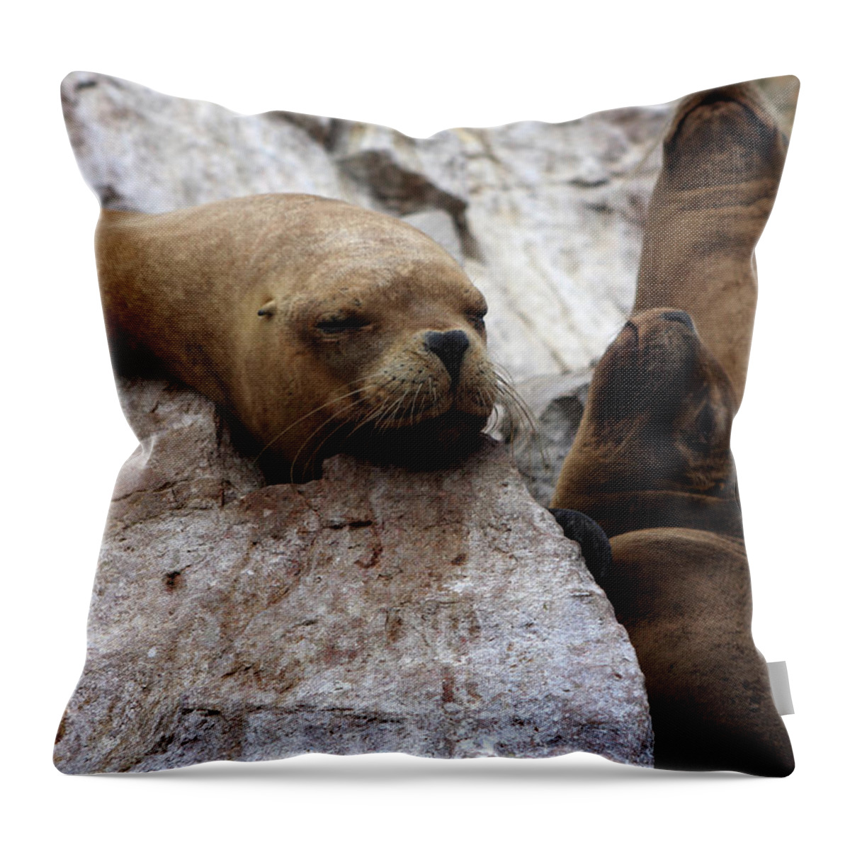 Fur Seals Throw Pillow featuring the photograph Wildlife Of The Ballestas Islands by Aidan Moran
