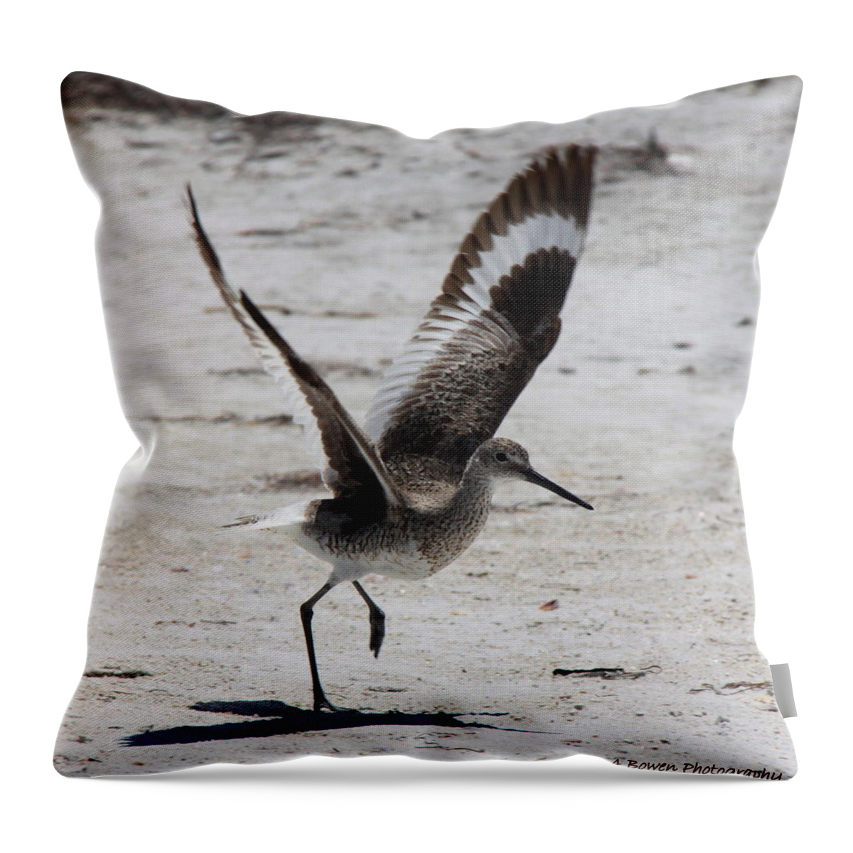 Willet Throw Pillow featuring the photograph Willet Take-Off by Barbara Bowen