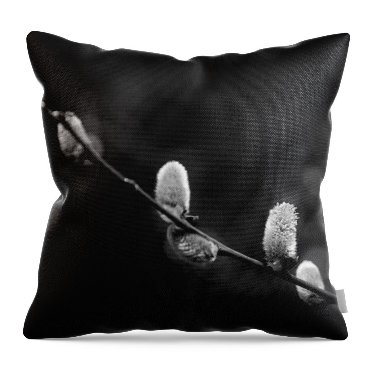 Willow Catkin Throw Pillow featuring the photograph Willow Catkin - Bw by Andreas Levi