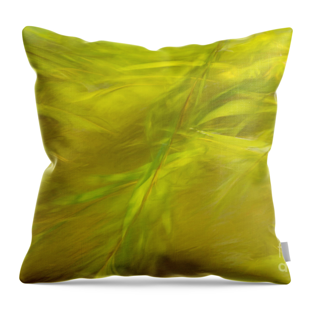 Charles Daley Park Throw Pillow featuring the photograph Willow Dreaming by Marilyn Cornwell