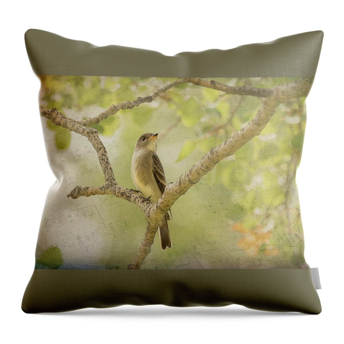 Flycatcher Throw Pillow featuring the photograph Willow Flycatcher Song by Vicki Stansbury