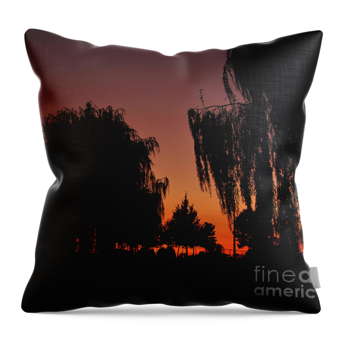 Leaves Throw Pillow featuring the photograph Willow Tree Silhouettes by Joe Ng