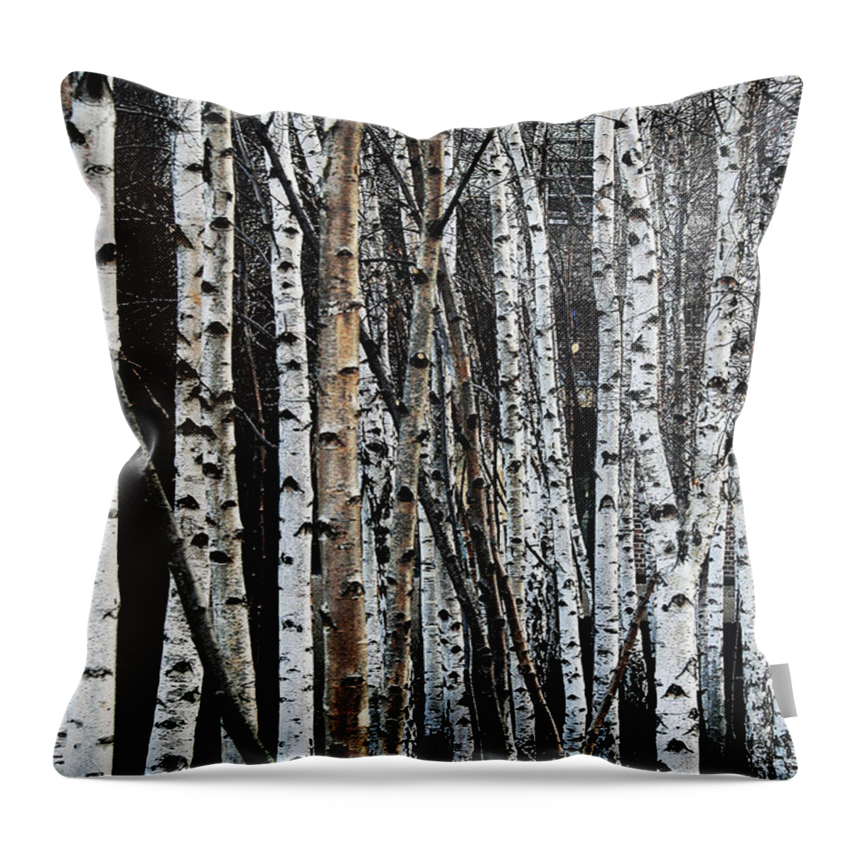 Trees Throw Pillow featuring the digital art Birch by Julian Perry
