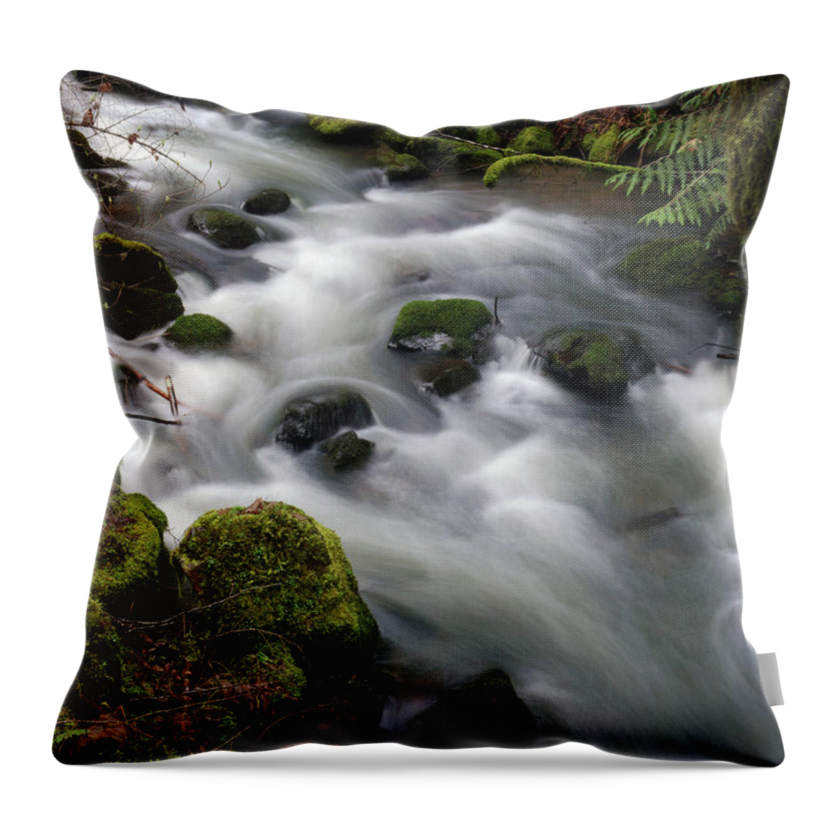 Nature Throw Pillow featuring the photograph Wilson Creek #15 by Ben Upham III