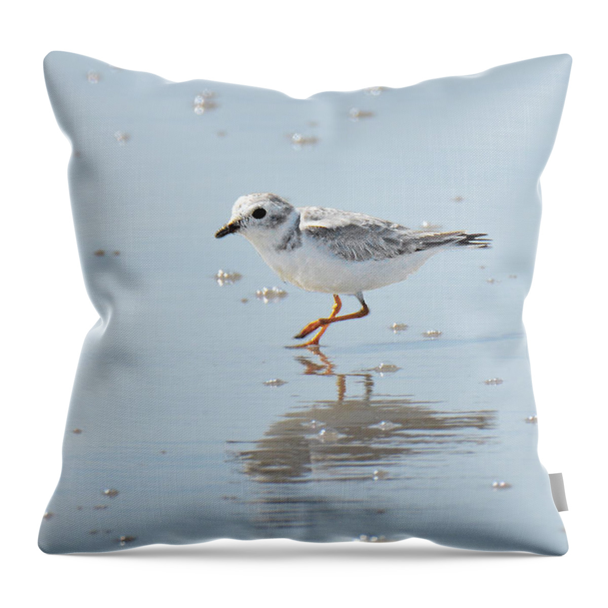 Bird Throw Pillow featuring the photograph Wilson's Plover by Alan Lenk